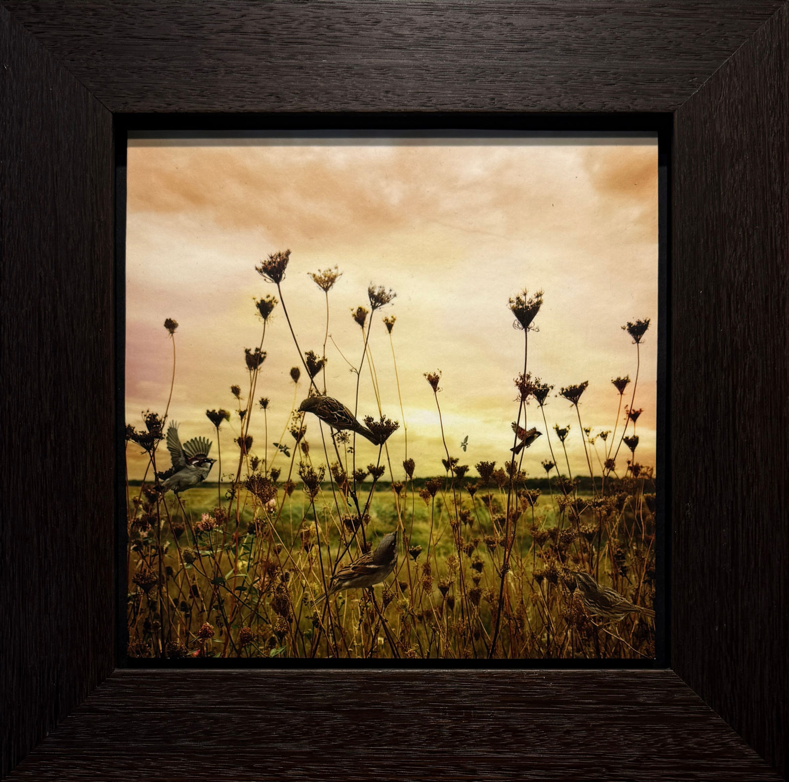 Tom Chambers framed photomontage gilman contemporary