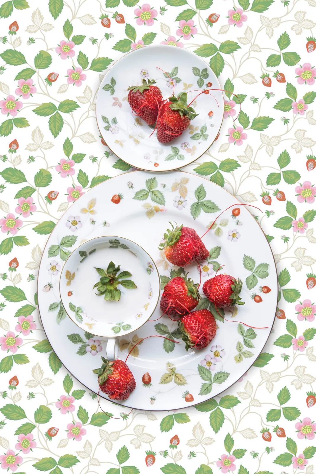 jp terlizzi image of wedgwood wild strawberry plate cup with real strawberries