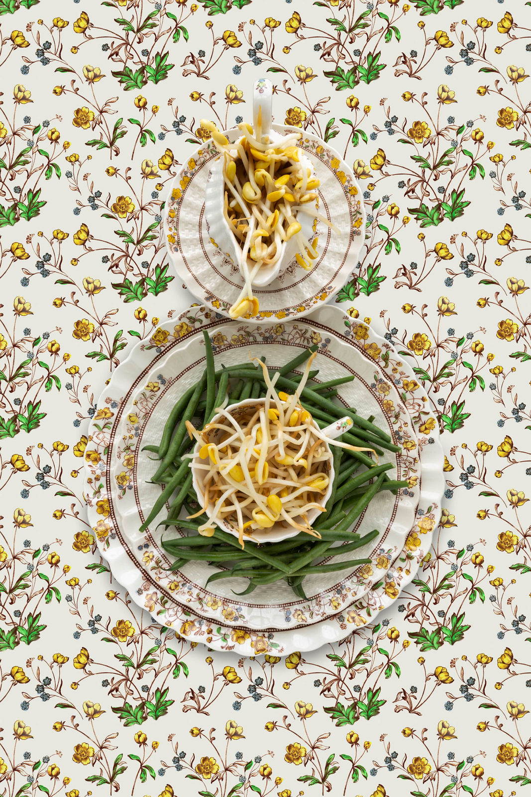 rjp terlizzi phot of bean sprouts on heirloom dishes photo