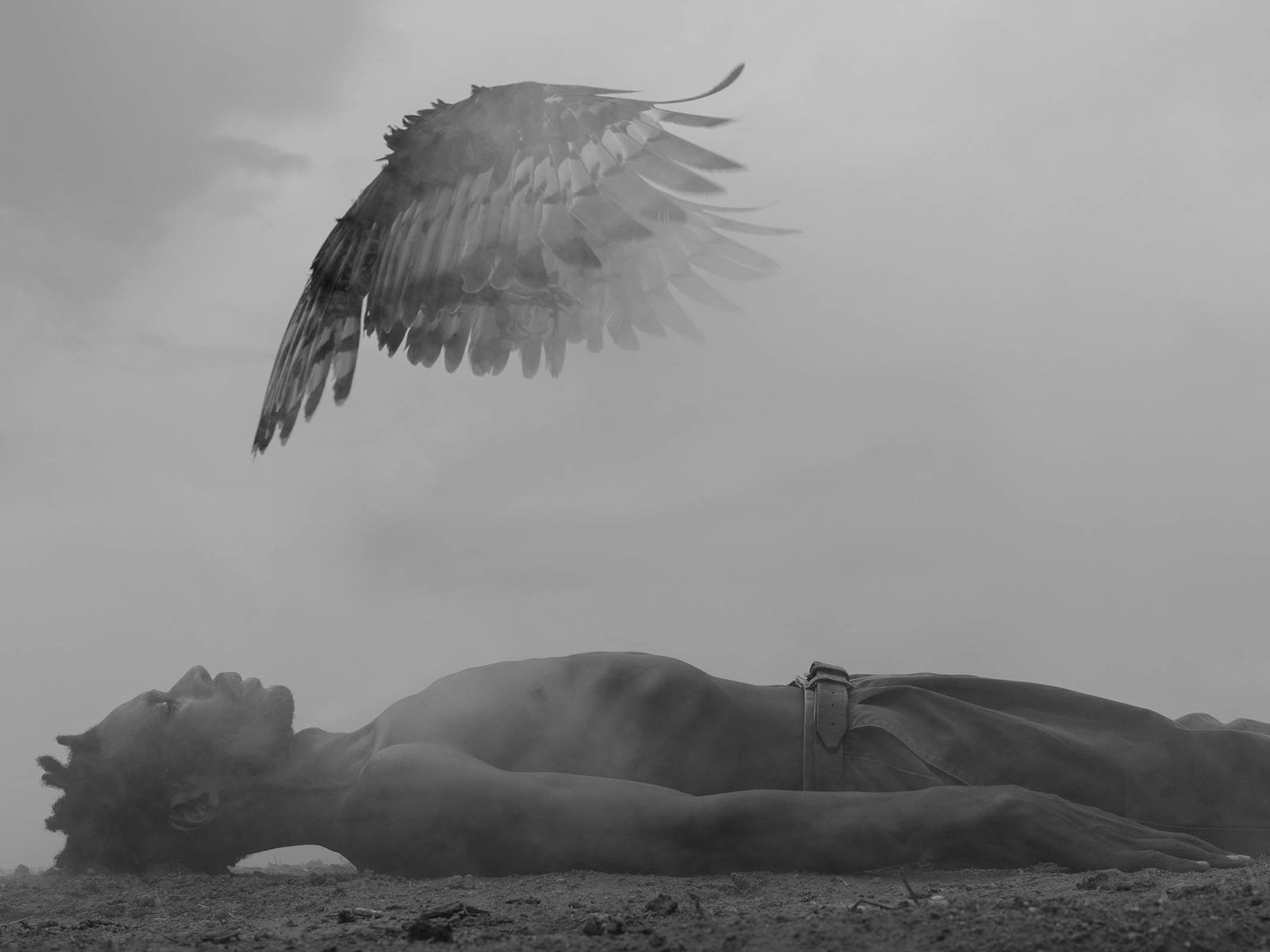 Nick Brandt photography B&W contemporary art Sun Valley Gilman Contemporary gallery