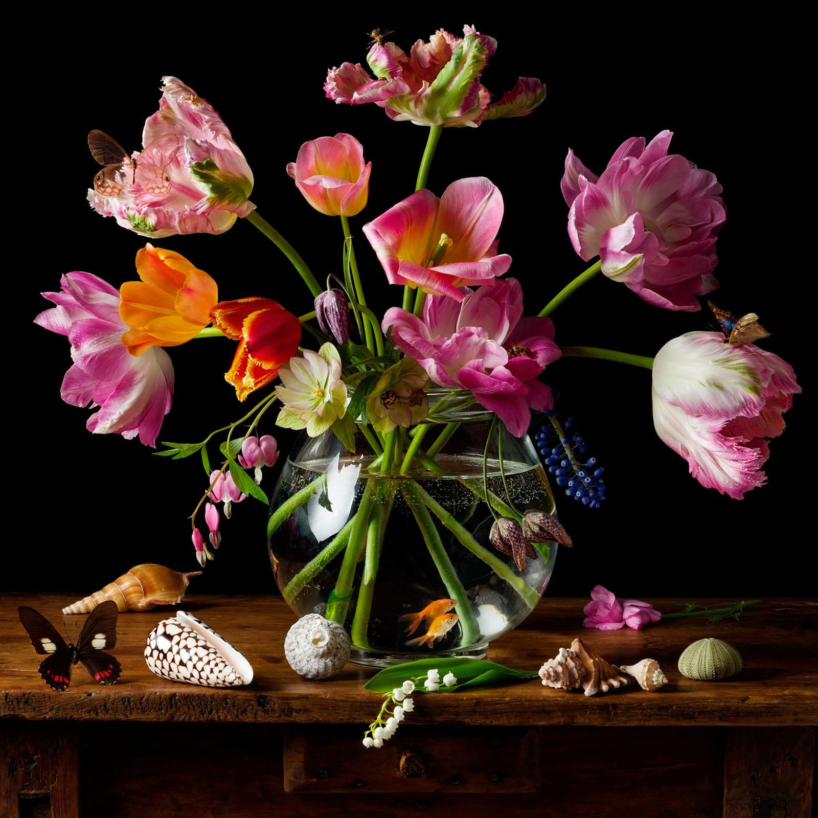 Dutch tulips still life Paulette Tavormina photography New York artist buy here Sun Valley Idaho art gallery Gilman Contemporary