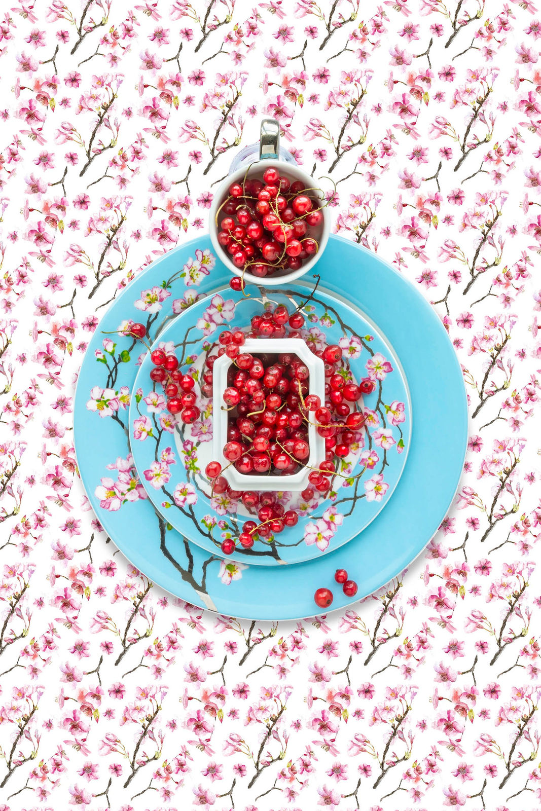 currantes on blue heirloom dishes by new york photographer