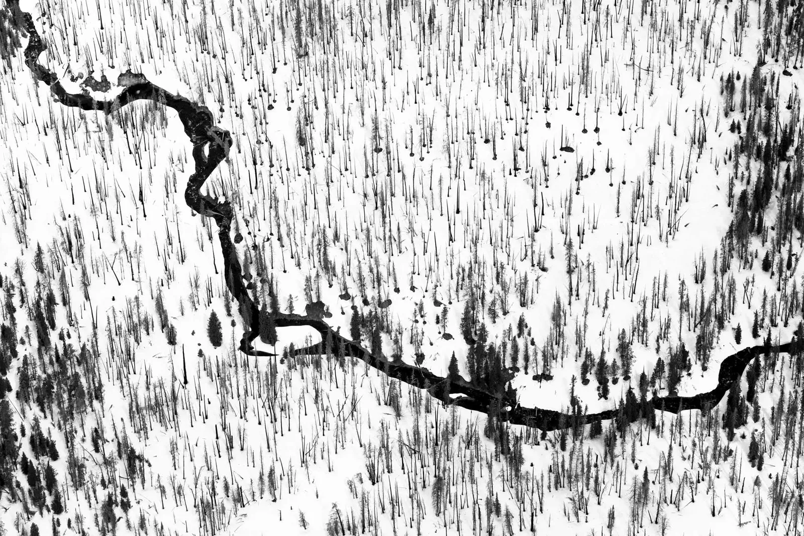 Aerial black and white photography Tuck Fauntleroy original art buy here Gilman Contemporary Sun Valley Idaho