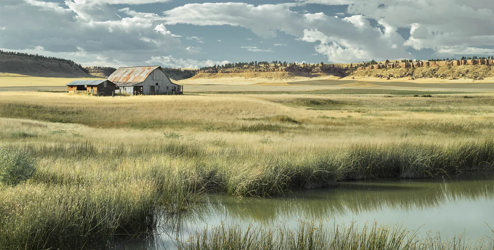 Jim Westphalen, Badlands Farmstead 3