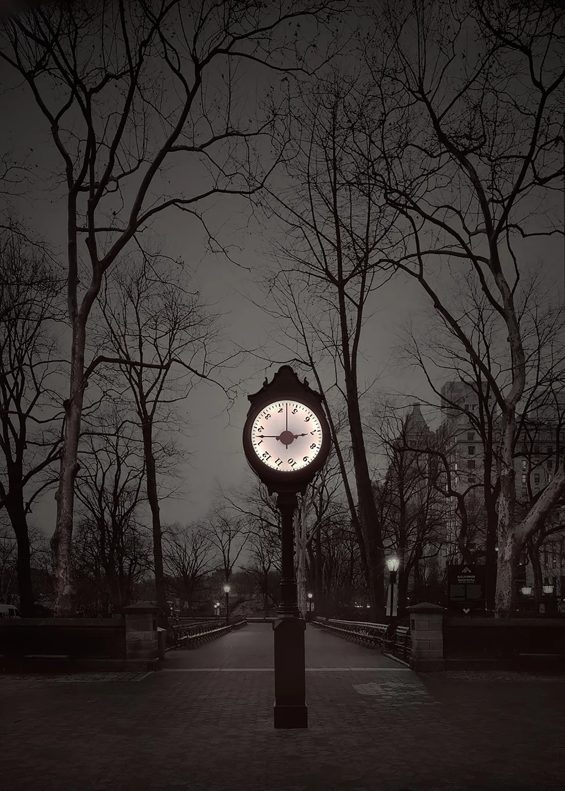 clock in central park at night photo by Michael massaia