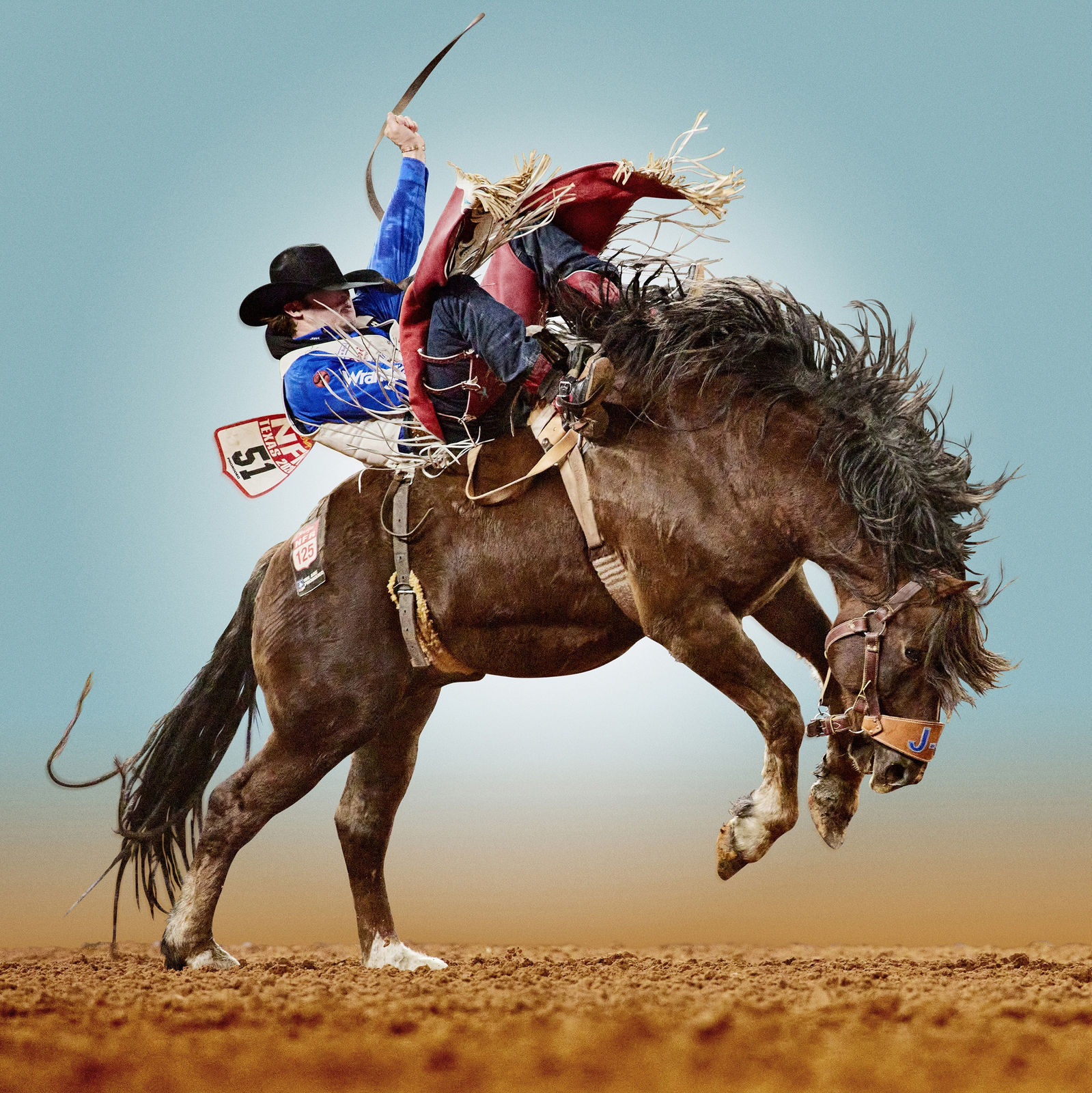 Wrubel Steve color rodeo photograph Verry