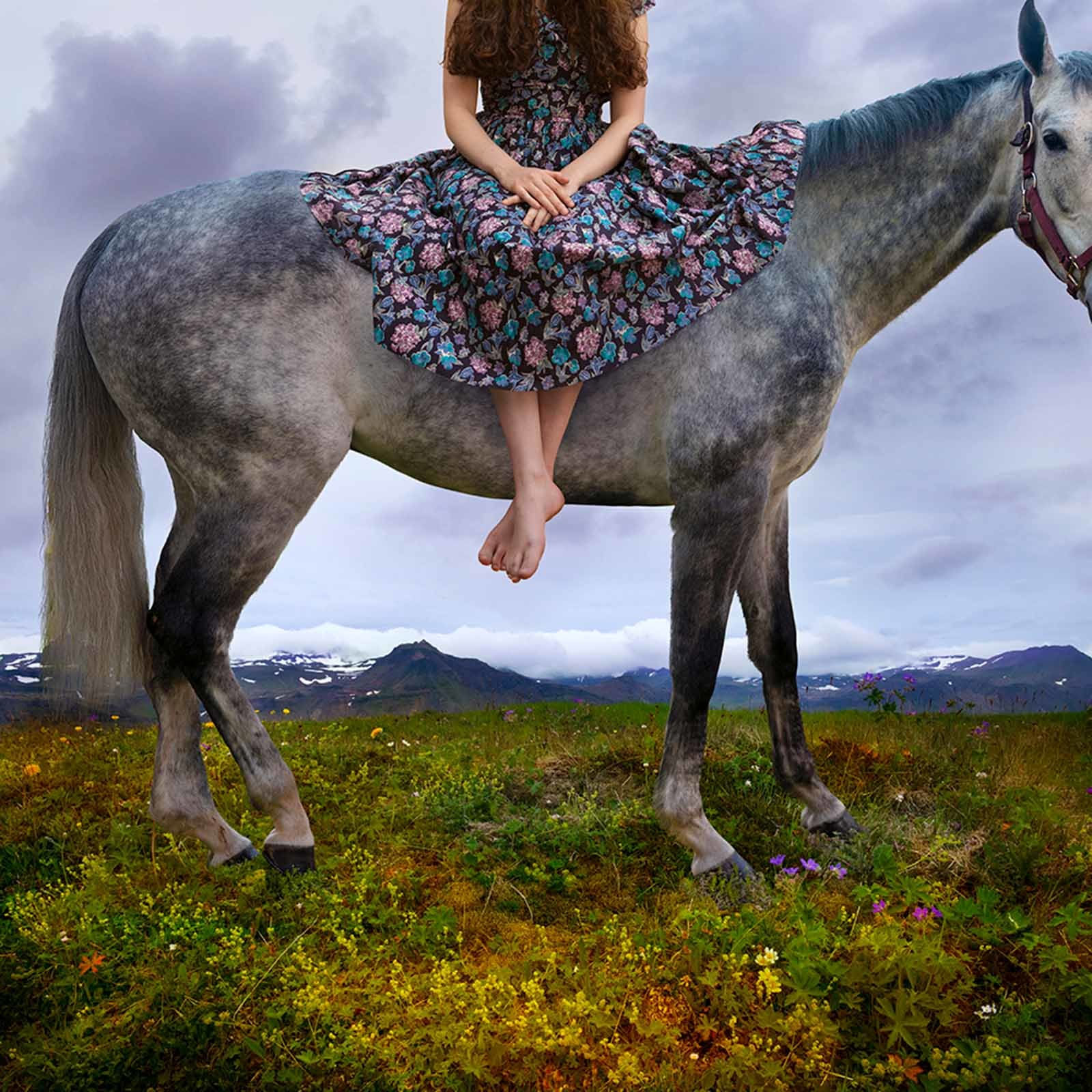 Tom Chambers buy Steady My Stead photograph