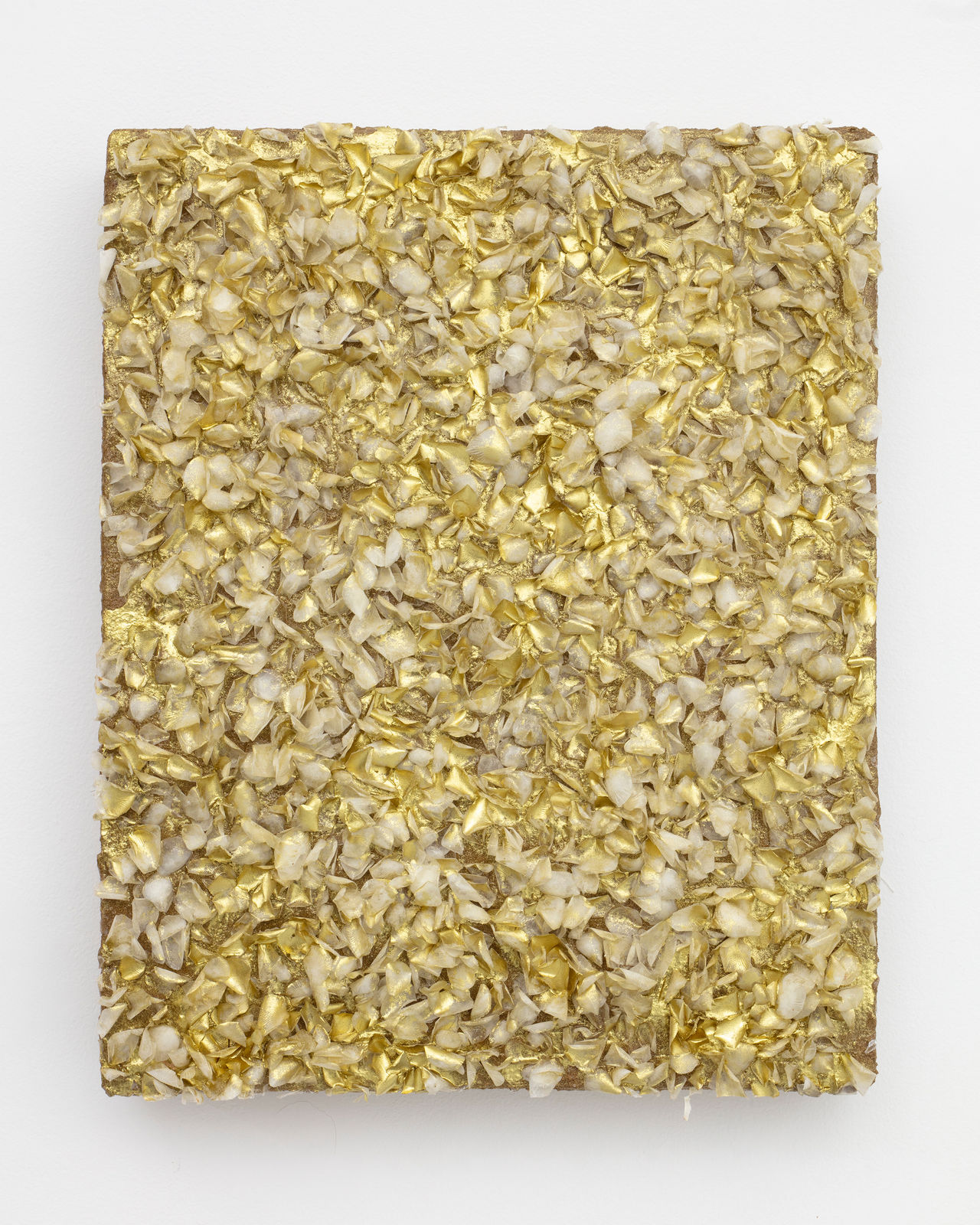 Ana Hernández, Escamas, 2024-25