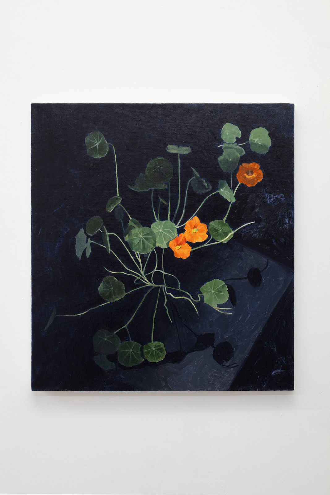 Alicia Ayanegui, Mastuerzos nocturnos, 2025