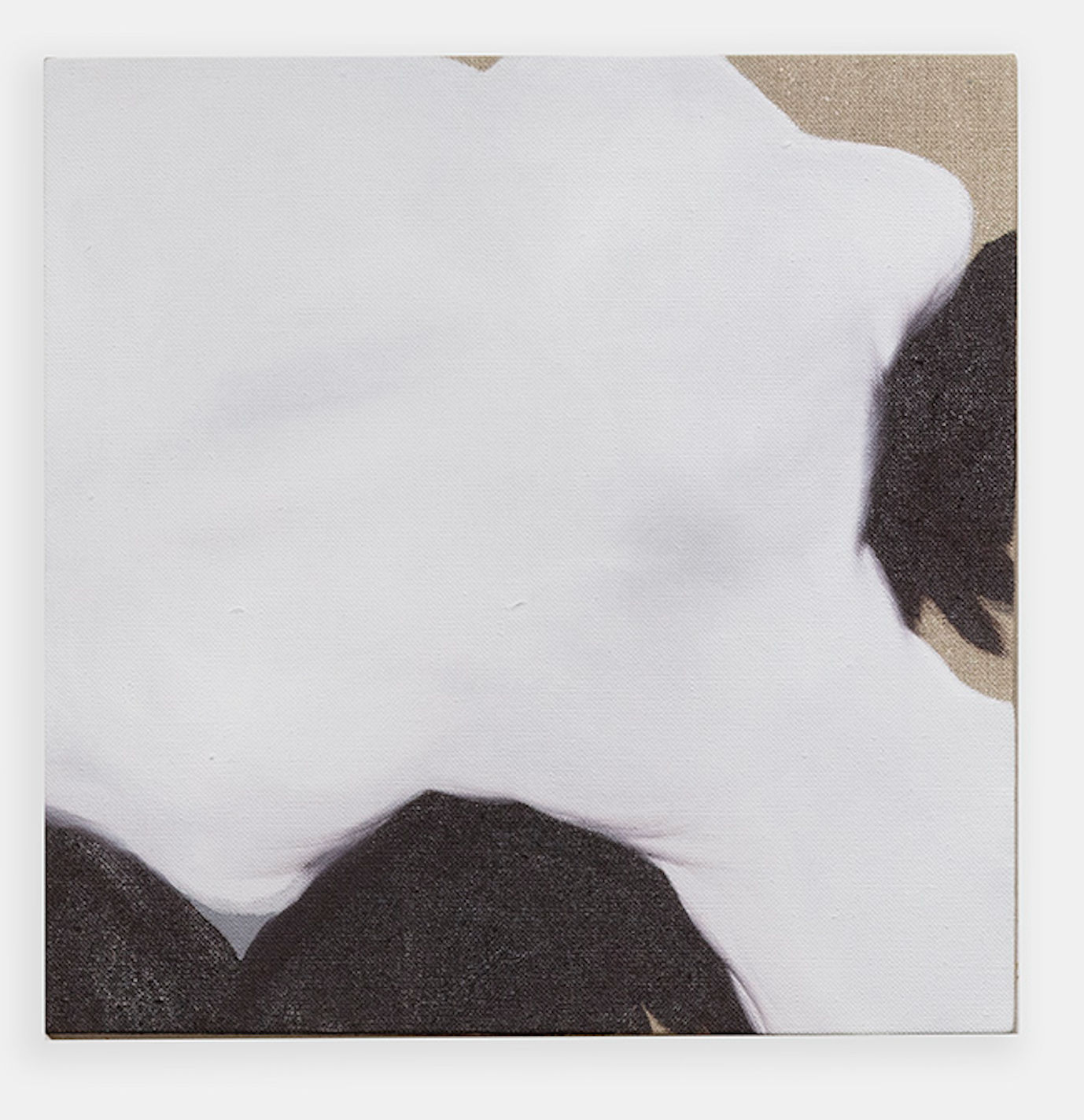 Waysatta Fernández, Grupo 1 de la serie: un murmullo que raspa y acoge, 2024-25