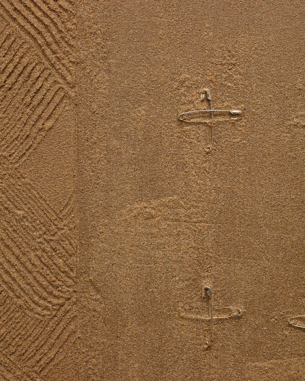 Ana Hernández, Protección, 2024-25