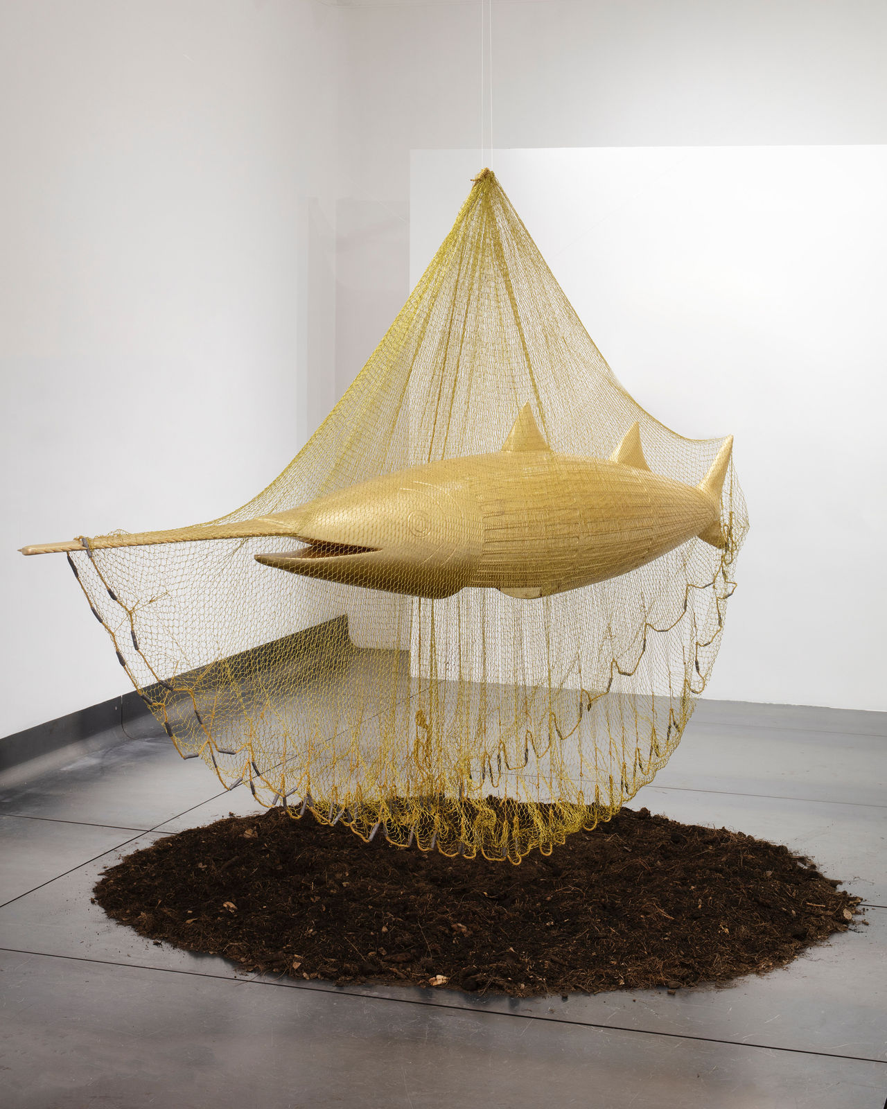 Ana Hernández, Bixhia', 2024-25