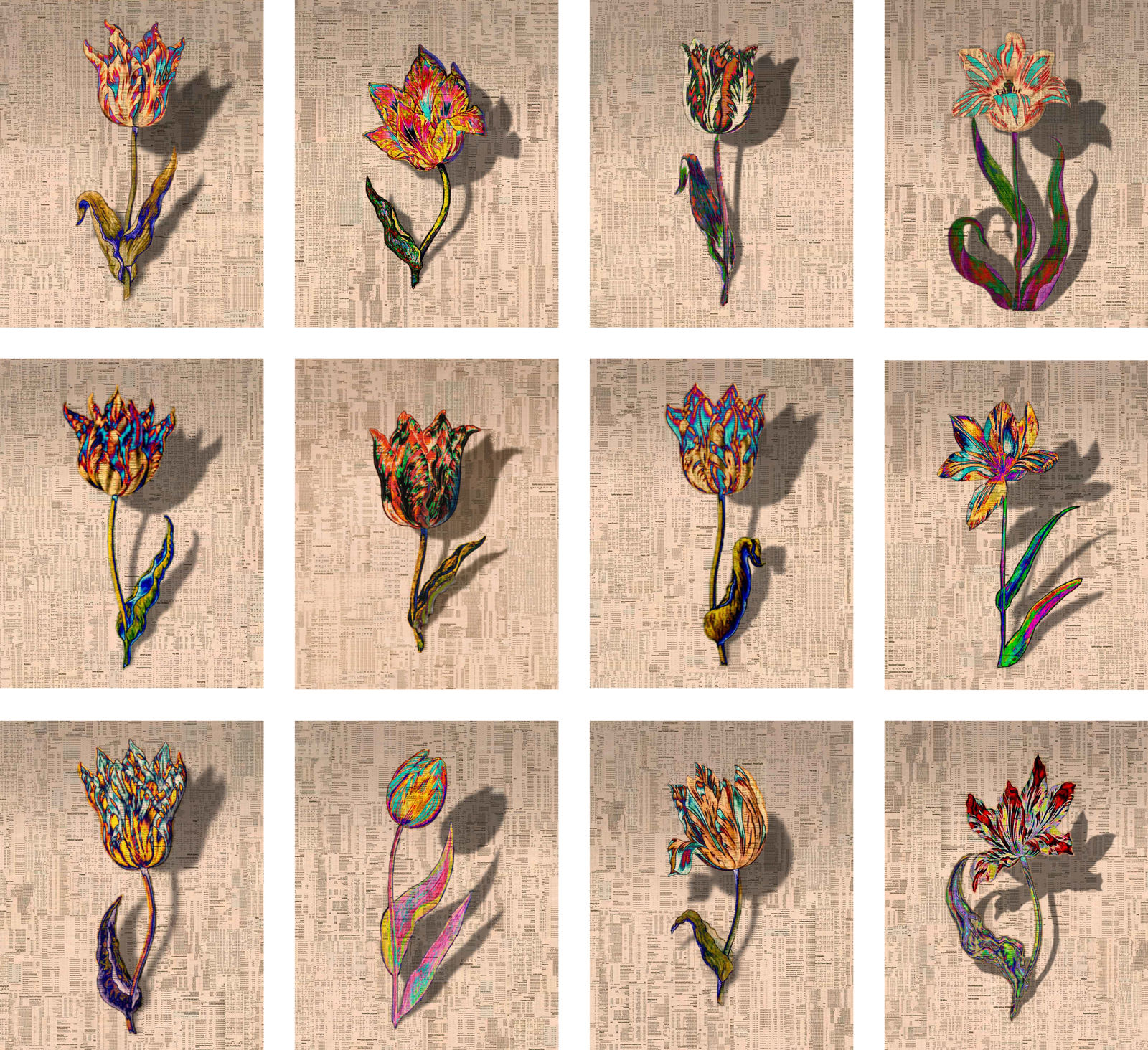 Gordon Cheung, Tulipmania 1-12, 2012