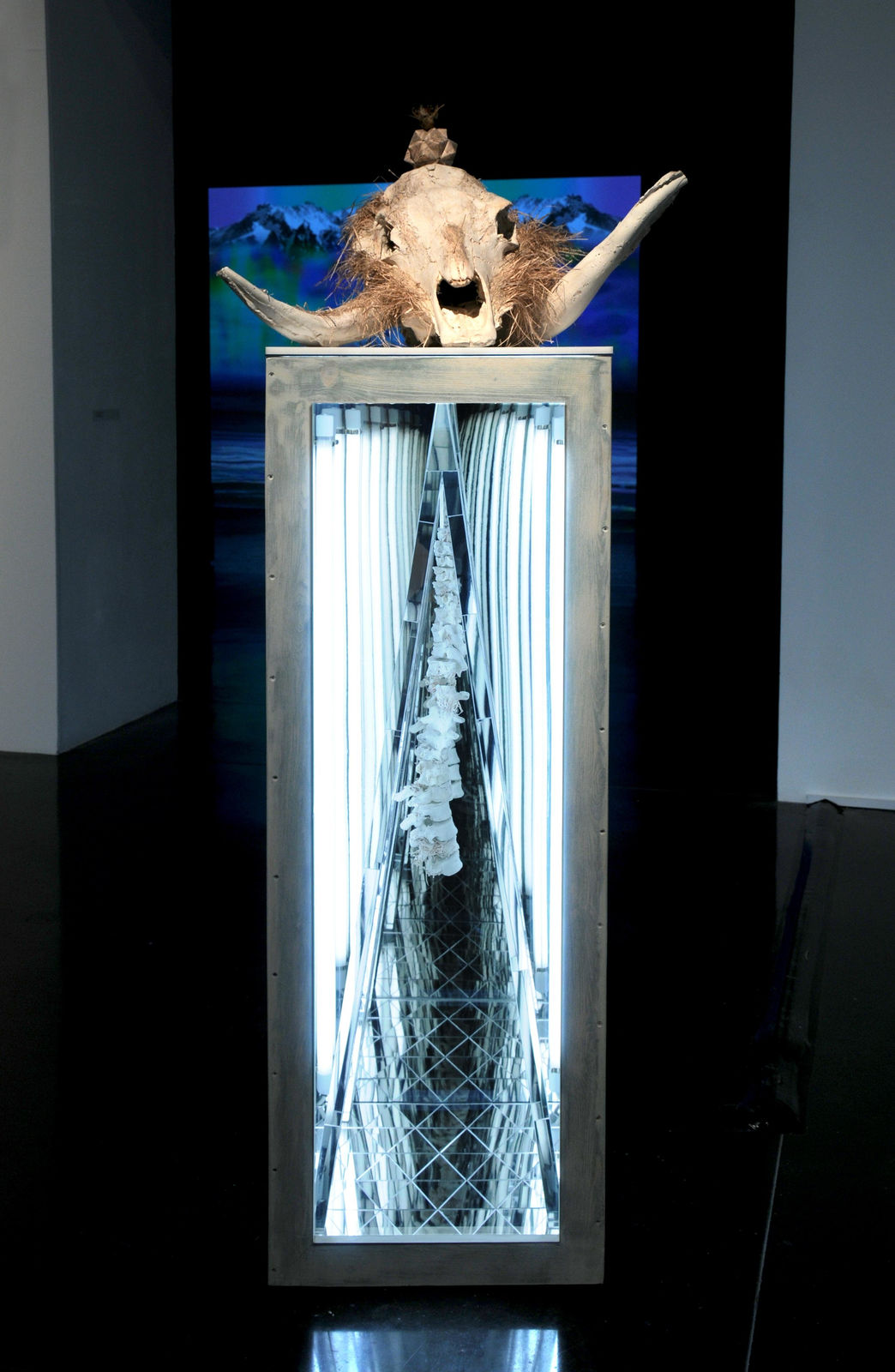 Gordon Cheung, The Conqueror (White), 2009