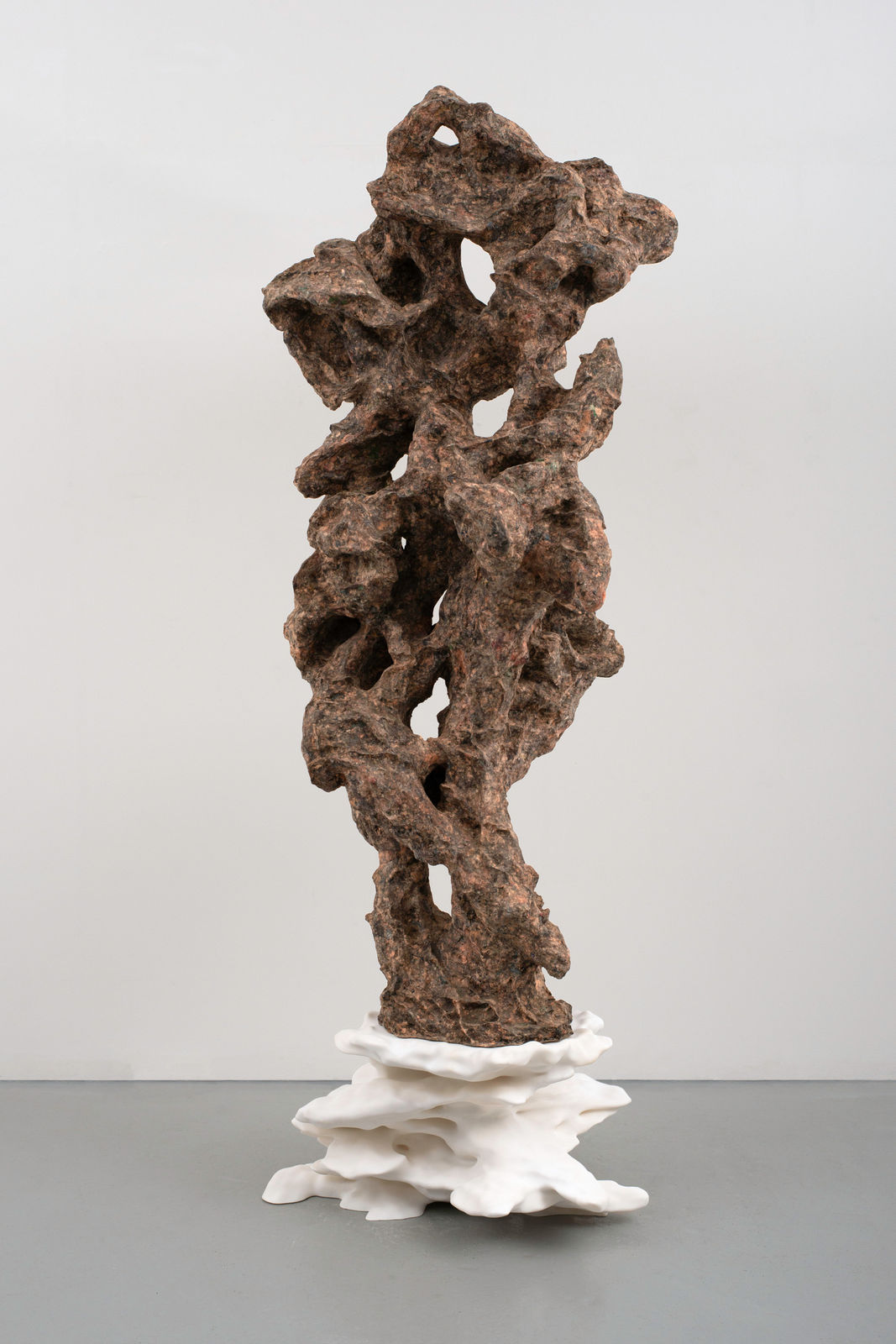 Gordon Cheung, Roots Spring Wisdom, 2023