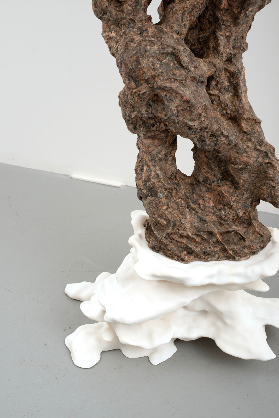 Gordon Cheung, Roots Spring Wisdom, 2023