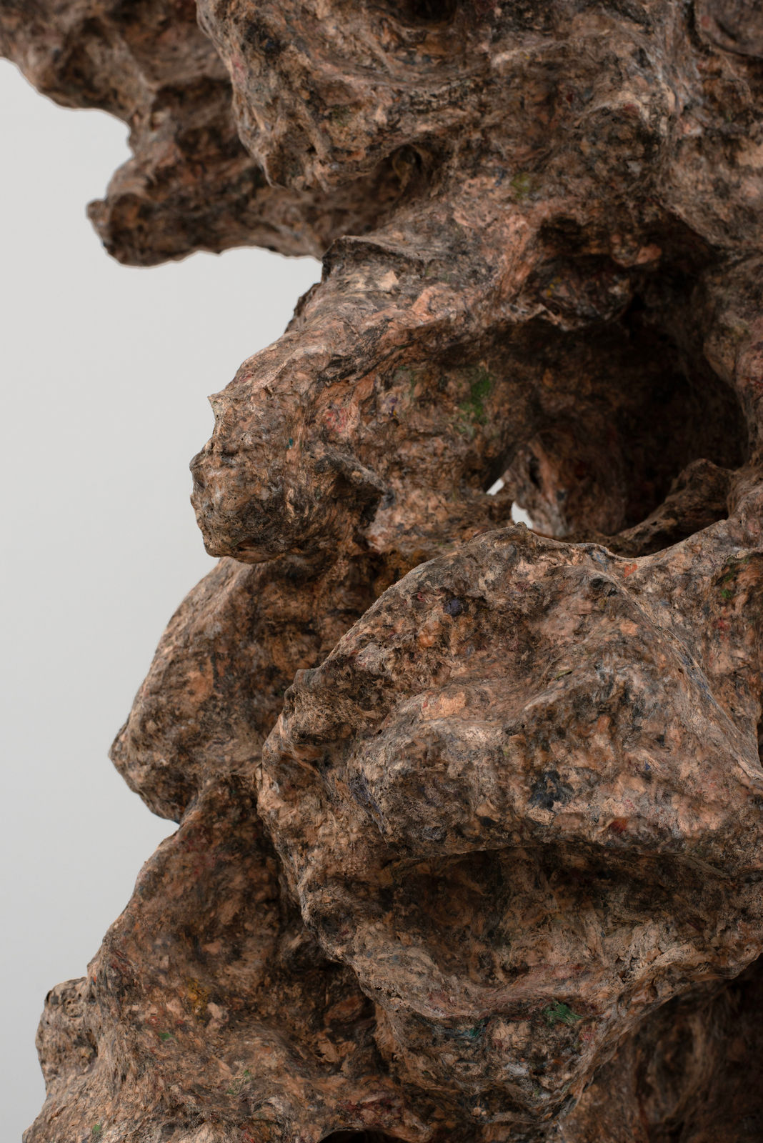 Gordon Cheung, Roots Spring Wisdom, 2023