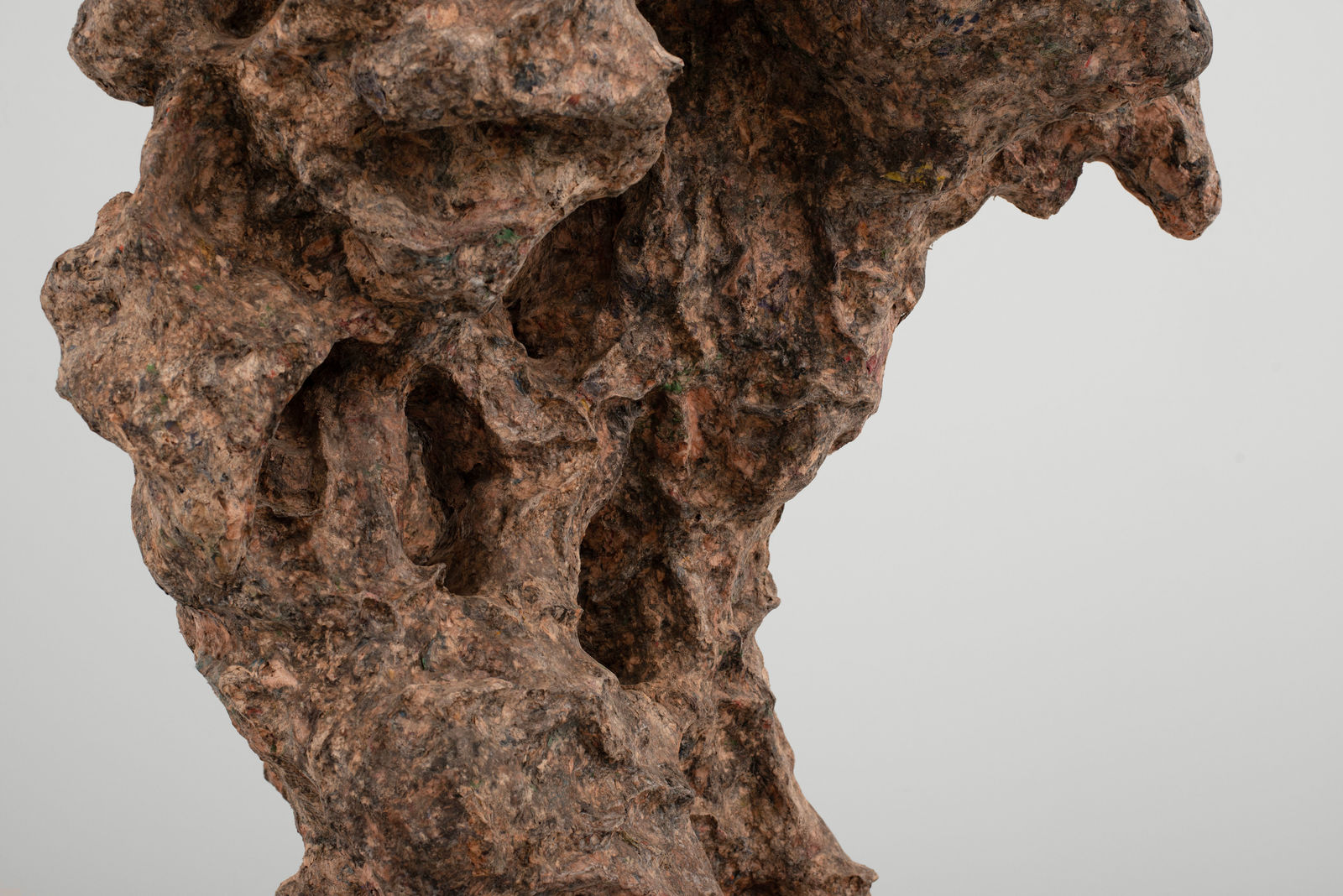 Gordon Cheung, Roots Spring Wisdom, 2023