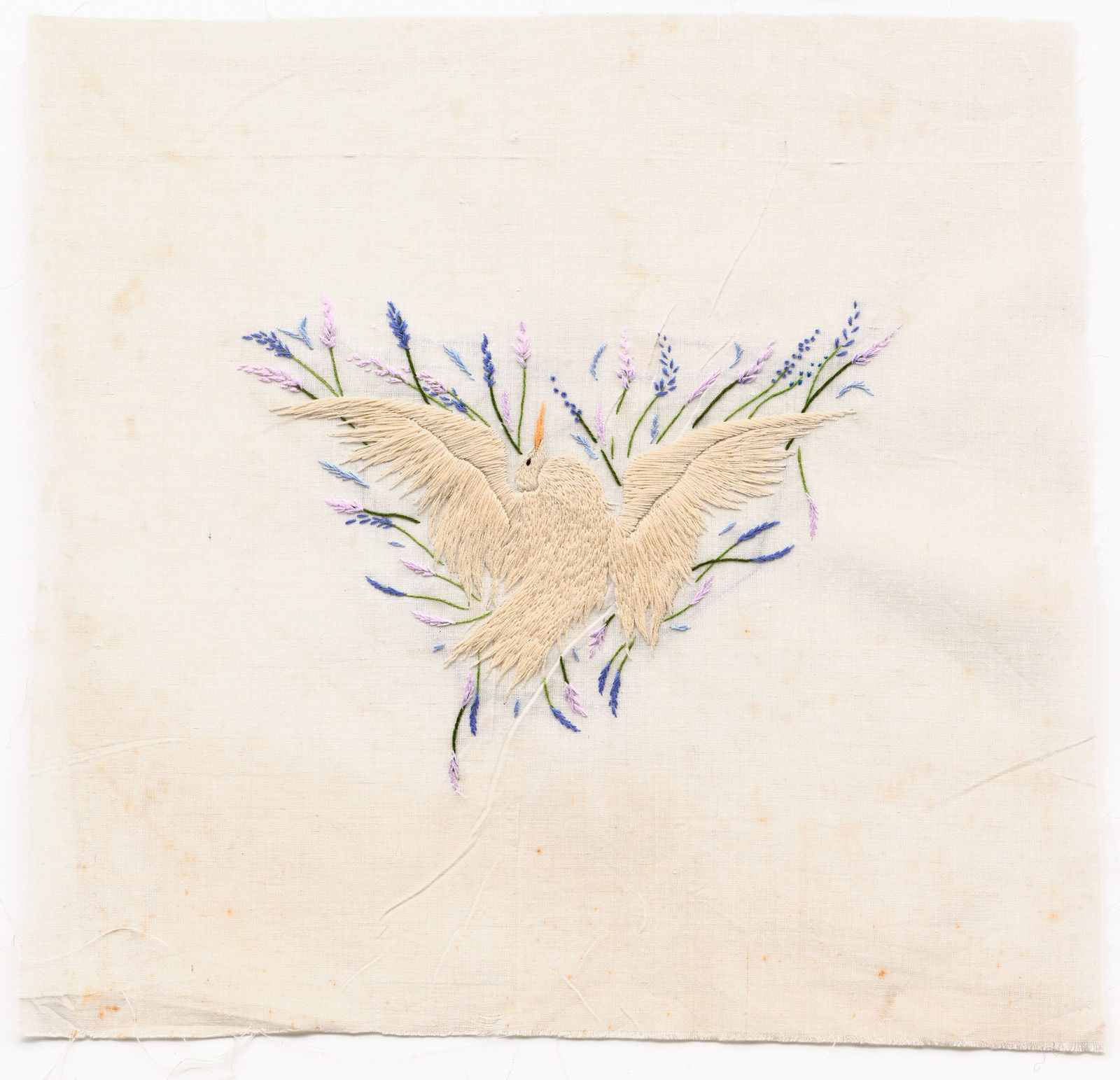 Domino Whisker, Man of the House