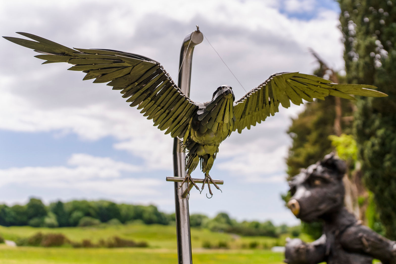 Nigel Connell Bass, Peregrine Falcon Launcing into Flight