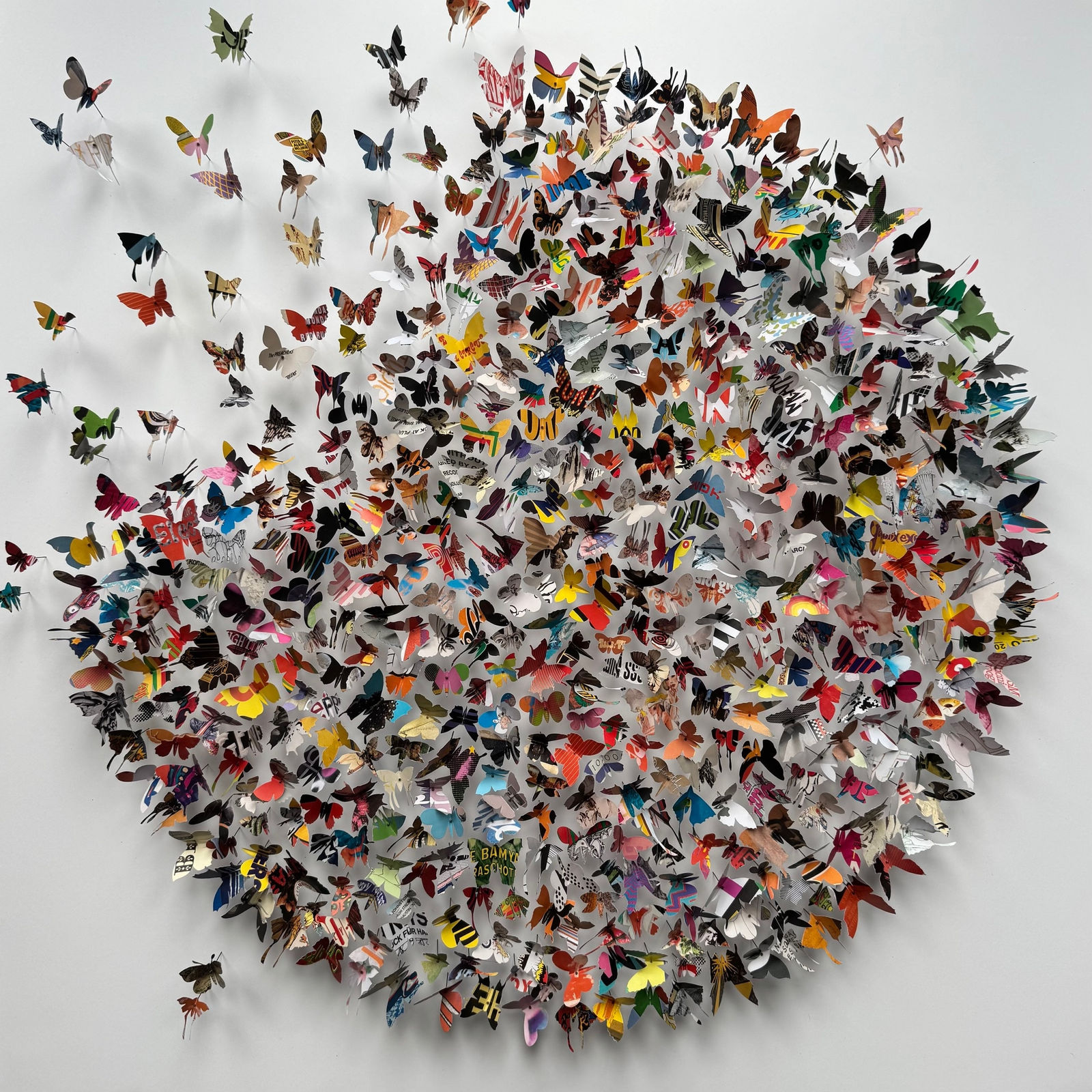 Rebecca J Coles, Albums XI