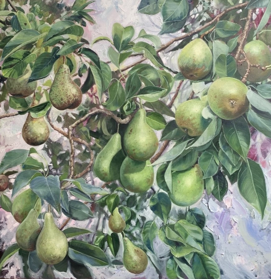 Jenny Hamilton, Pears, 2026