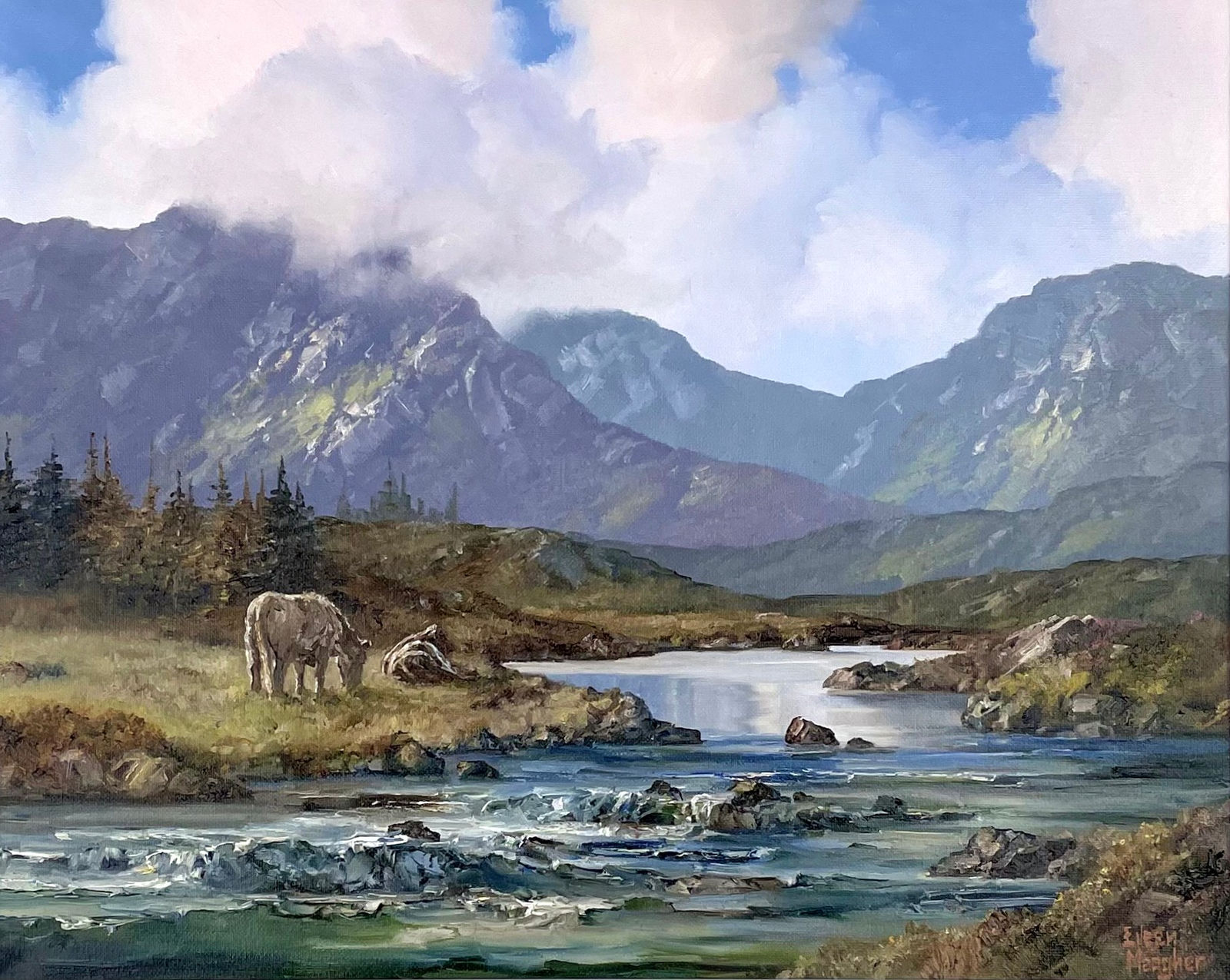 Eileen Meagher, Delphi, Connemara