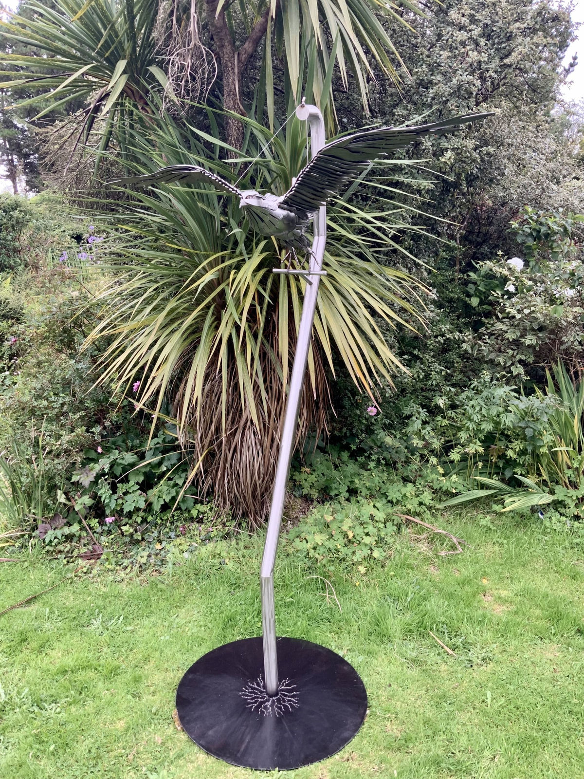 Nigel Connell Bass, Peregrine Falcon Launcing into Flight
