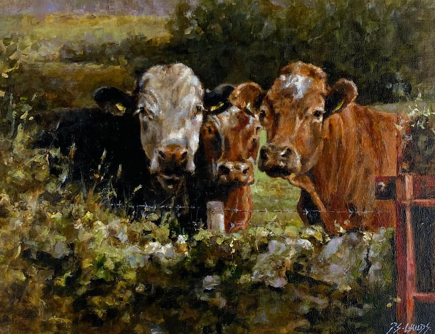 Philip Childs, Greetings from Mount Leinster V