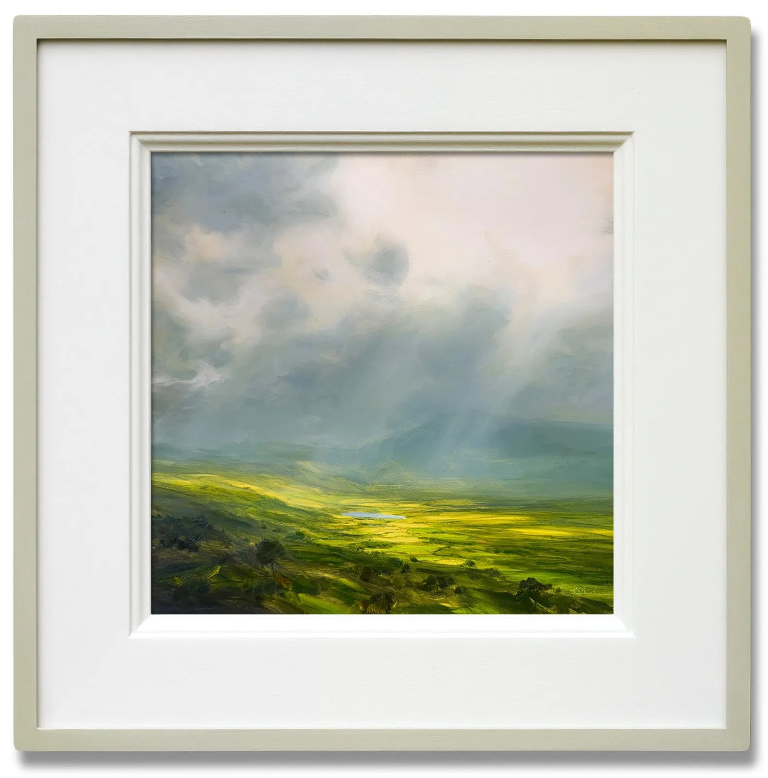 Harry Brioche, Illuminated Plains