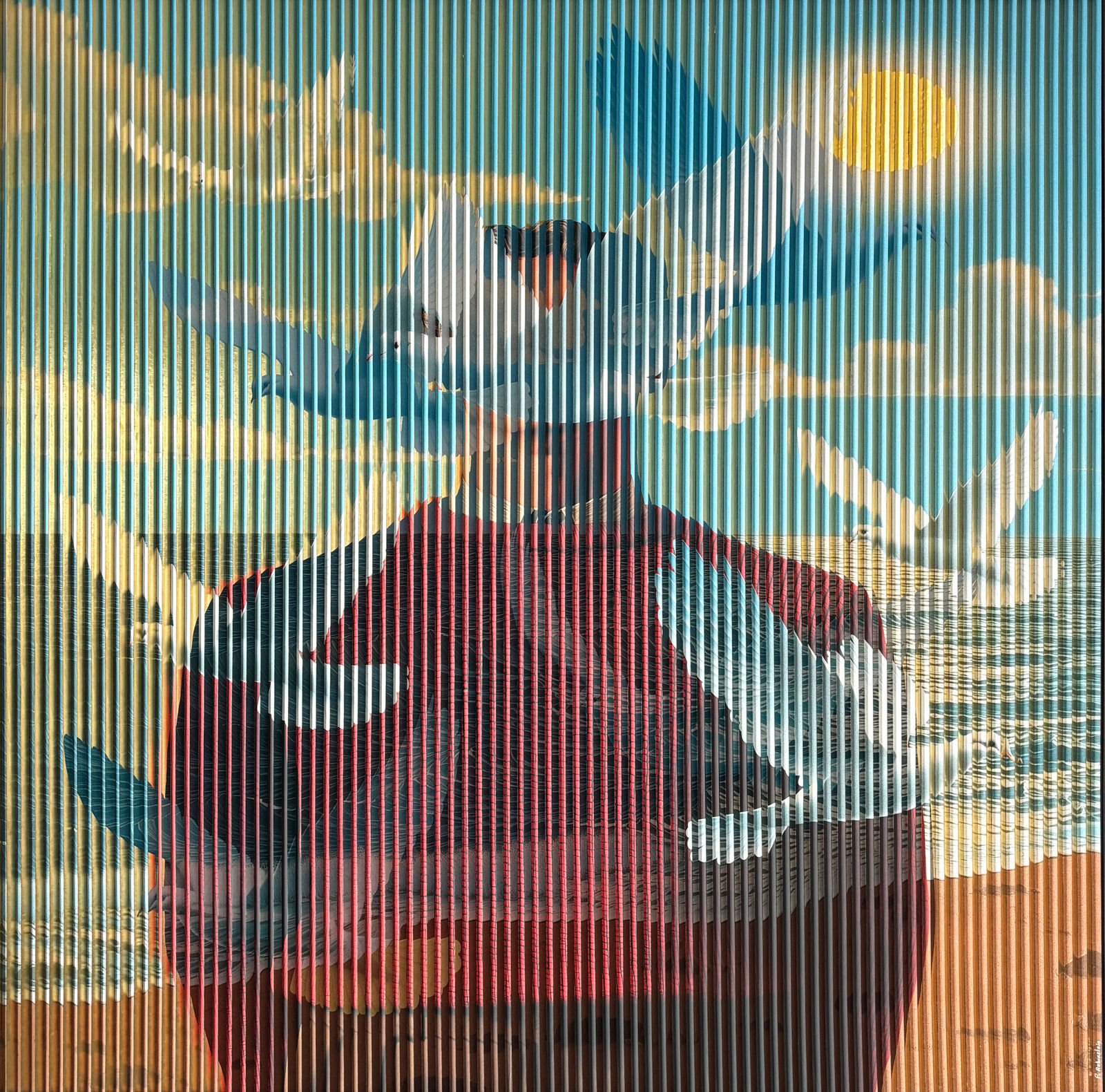 Patrick Rubinstein, Des plumes plein la tête