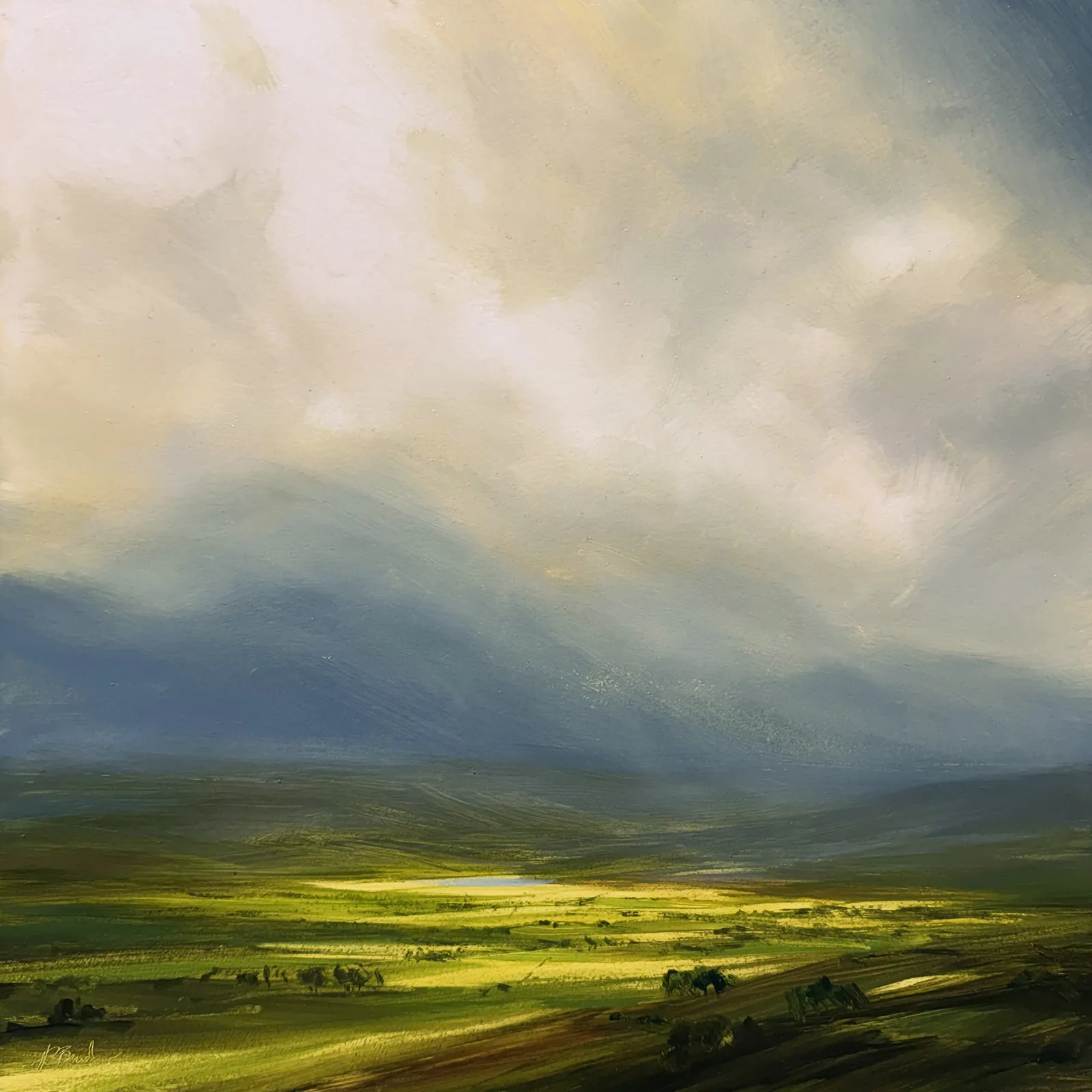 Harry Brioche, A Glimpse of Tranquility