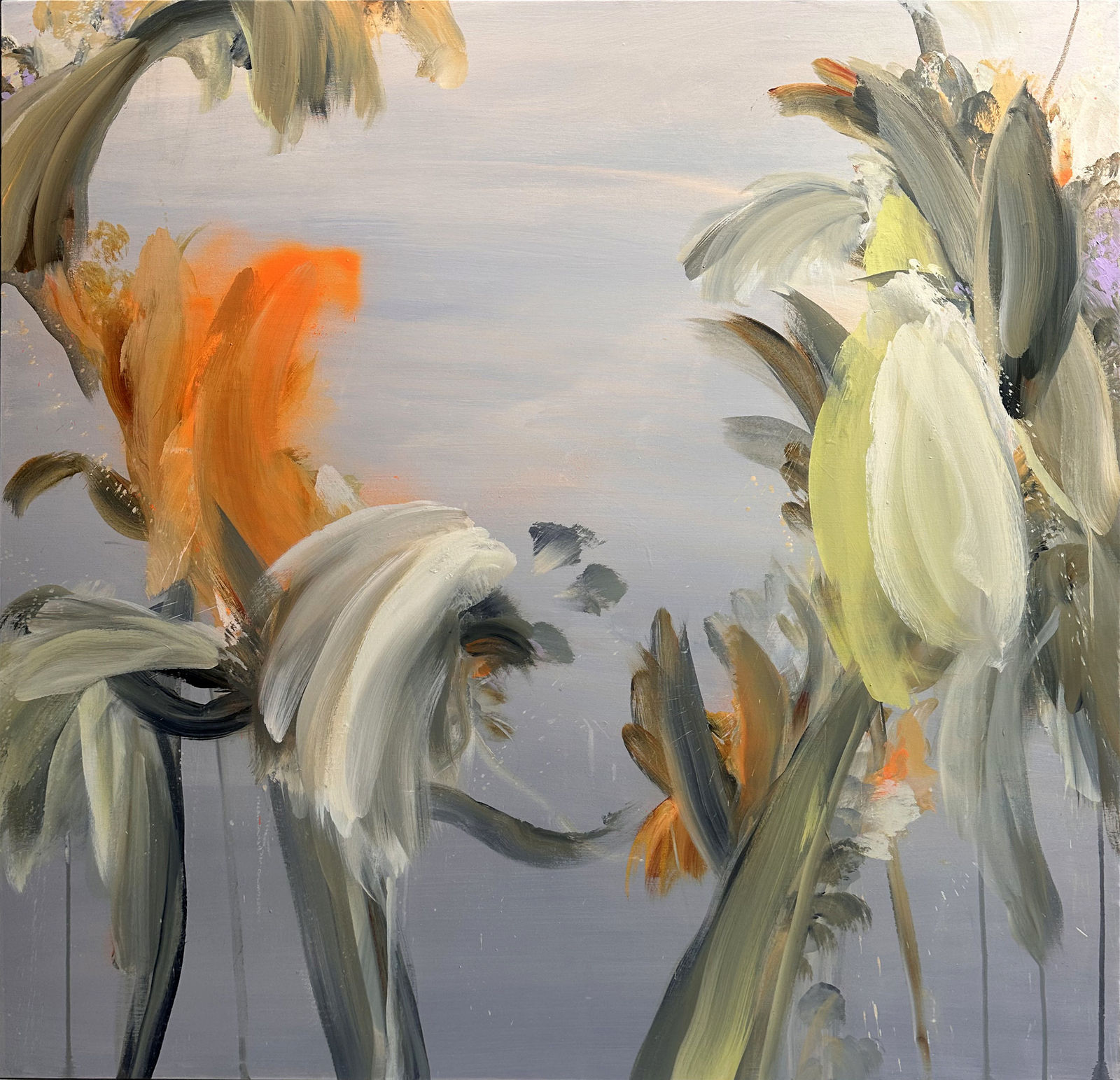 Beatriz Elorza, Sonora, 2024