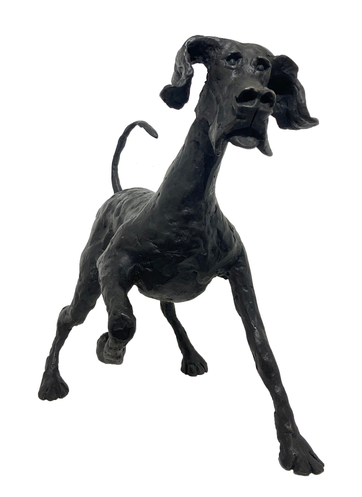 John Fitzgerald, Lucky Charm