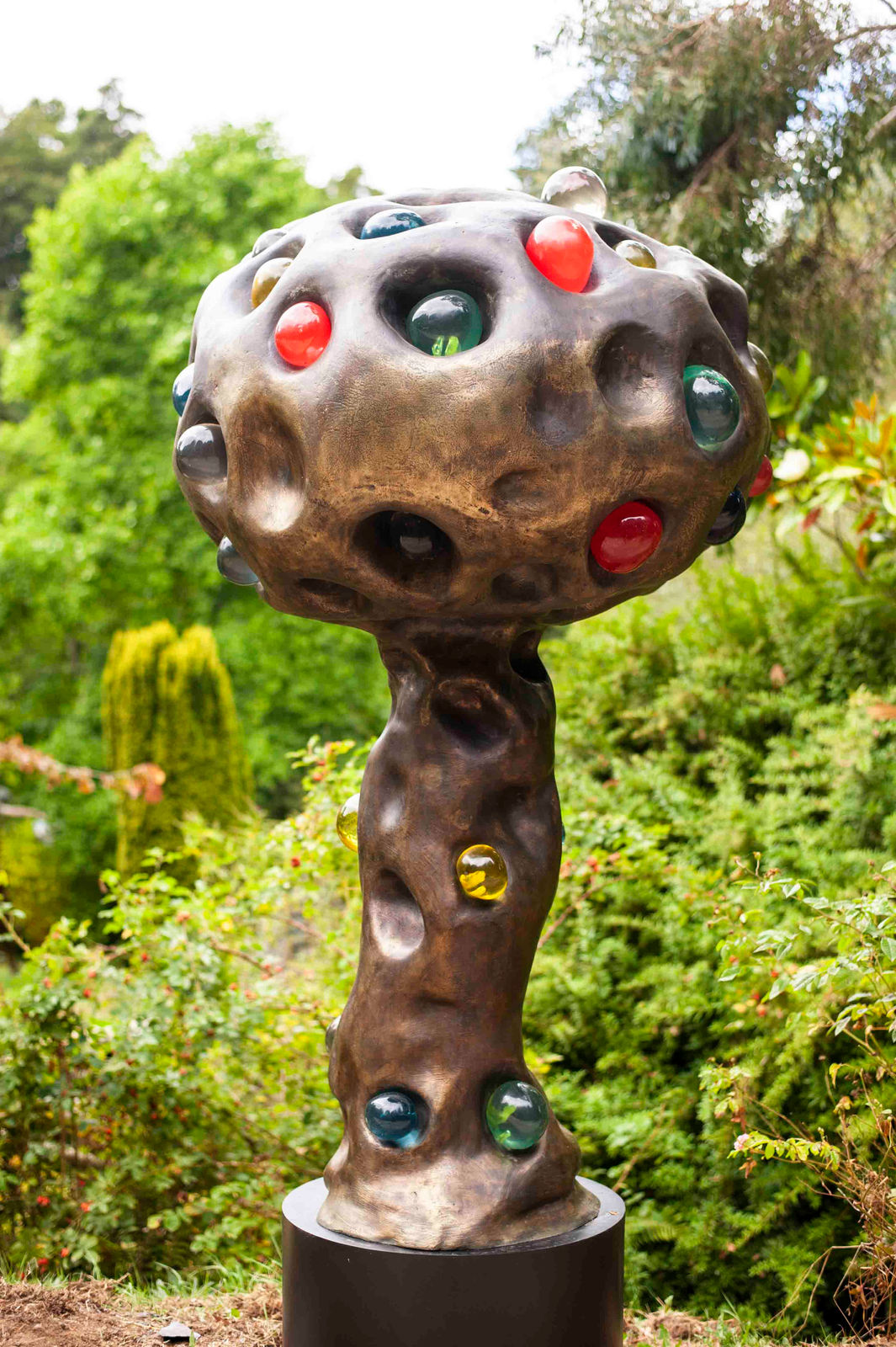 Patrick O'Reilly, Magic Tree