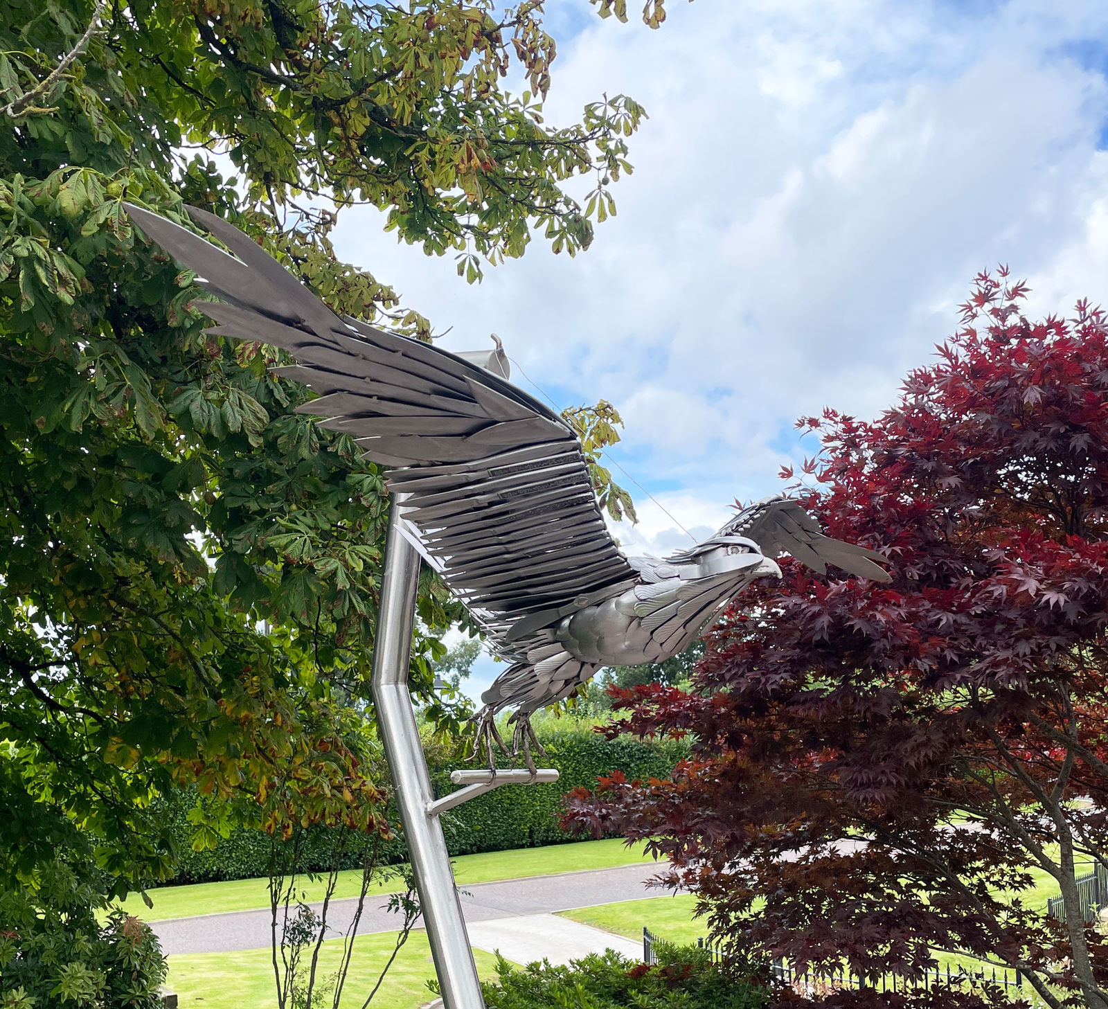 Nigel Connell Bass, Peregrine Falcon Launcing into Flight