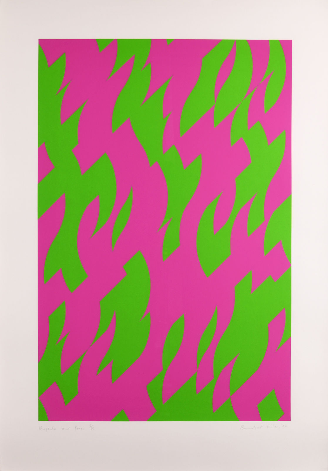 Bridget Riley, Magenta and Green, 2002