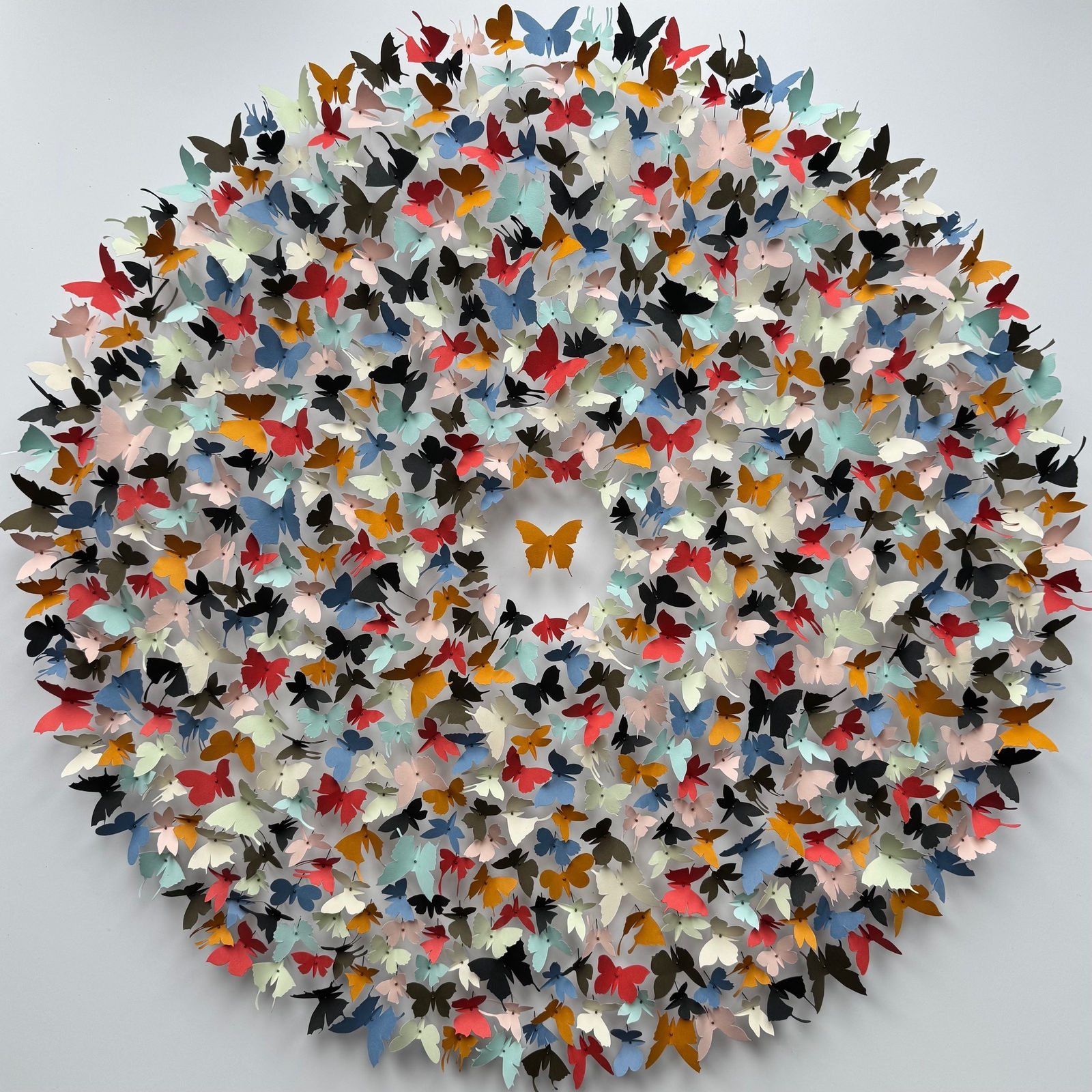 Rebecca J Coles, Colour Theory V