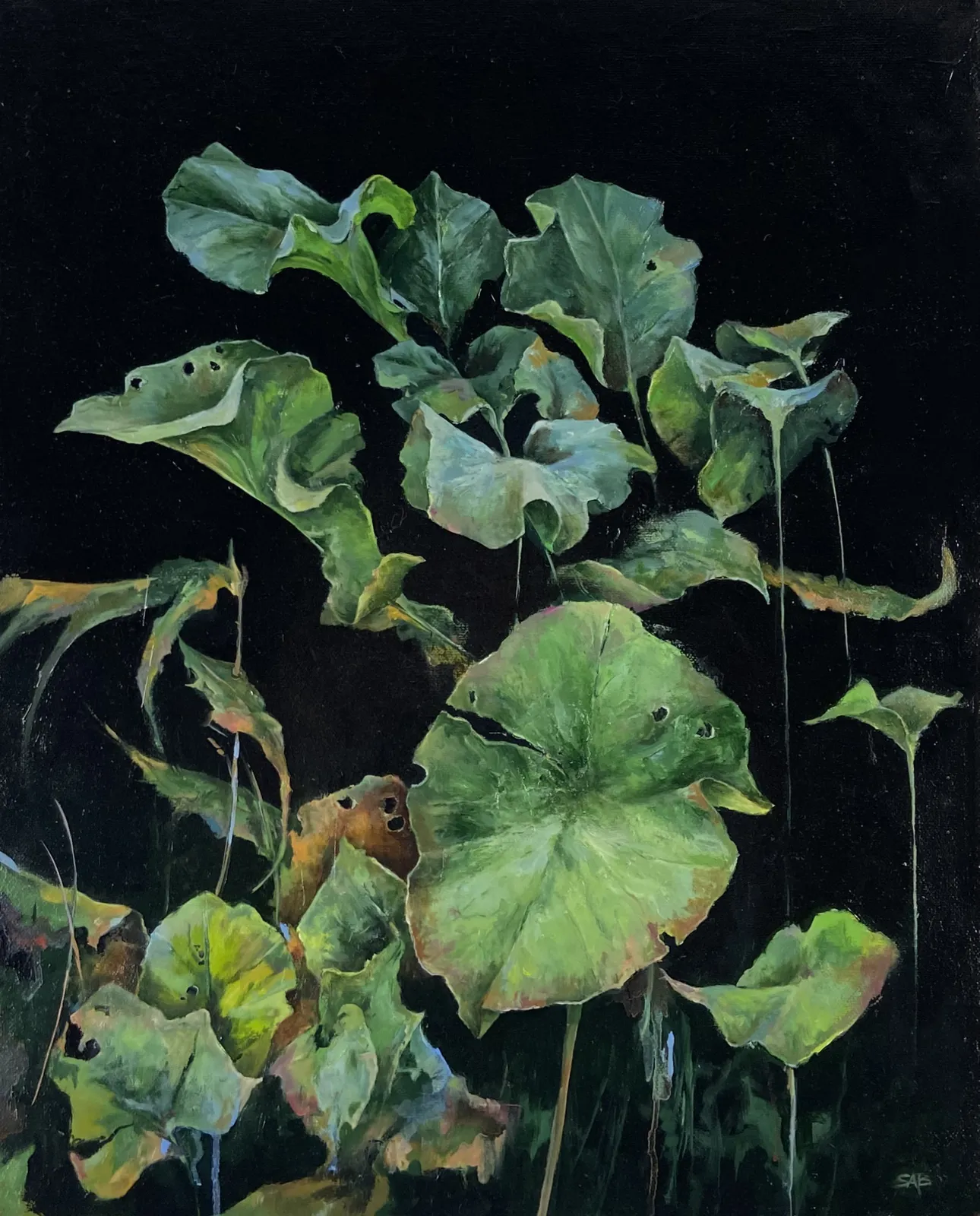 Sallyann Beirne, Fading