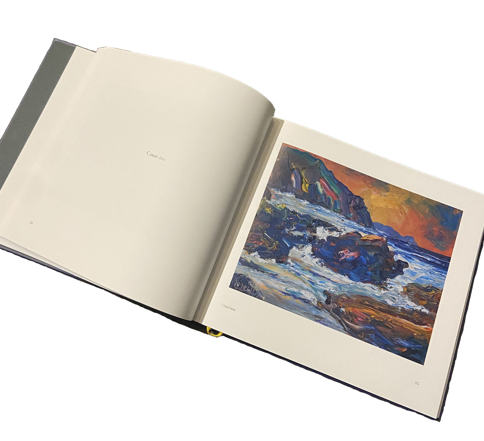 Liam O'Neill, Liam O' Neill 'Riastáil'