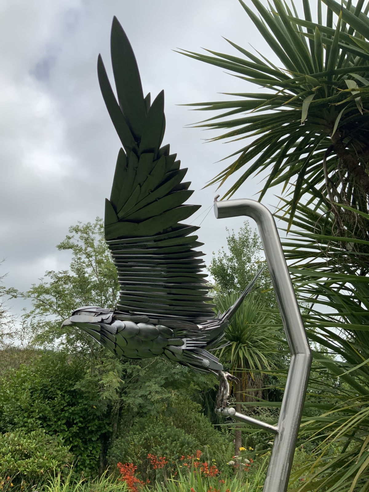 Nigel Connell Bass, Peregrine Falcon Launcing into Flight