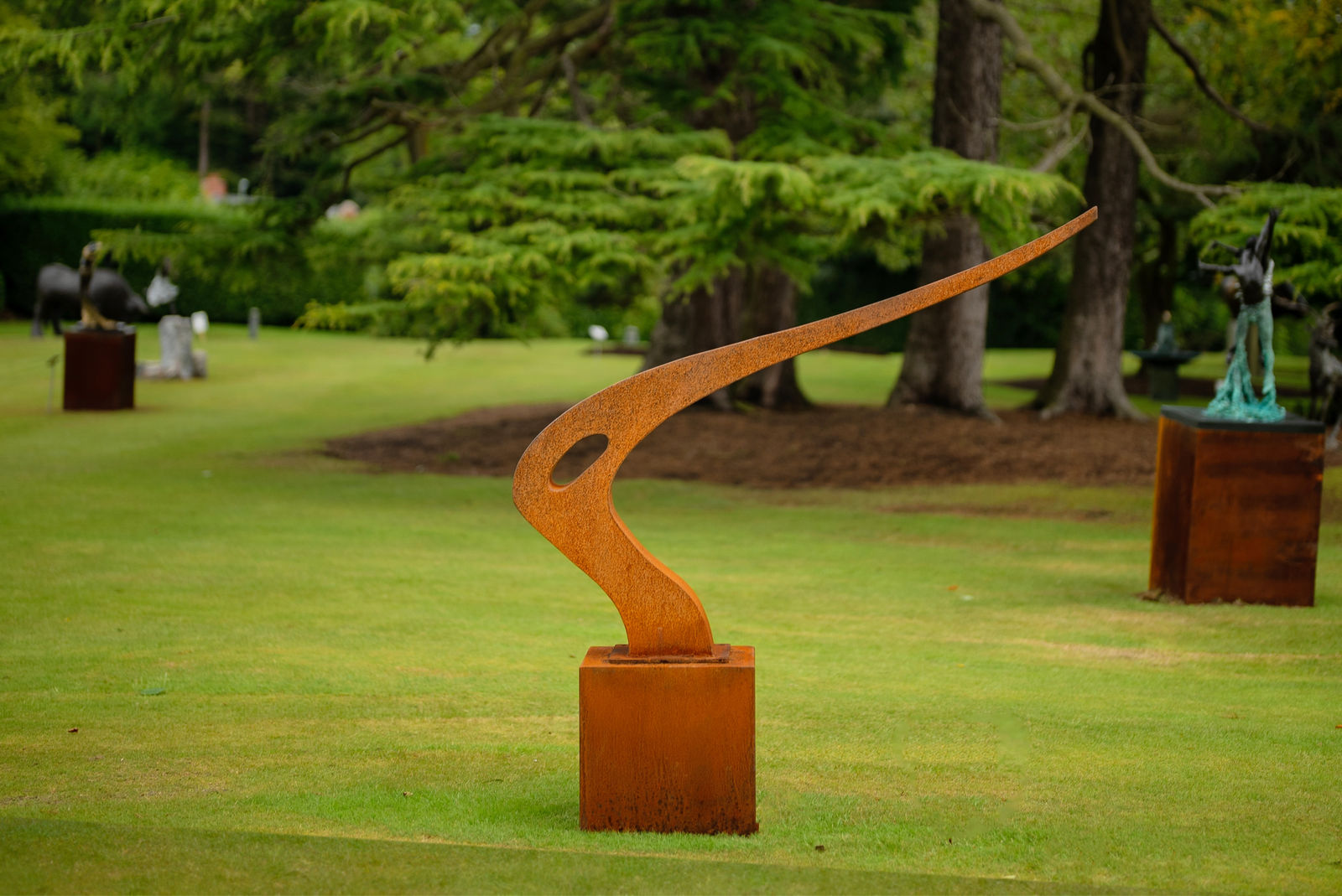 Simon Hayes, Star Walk Minor