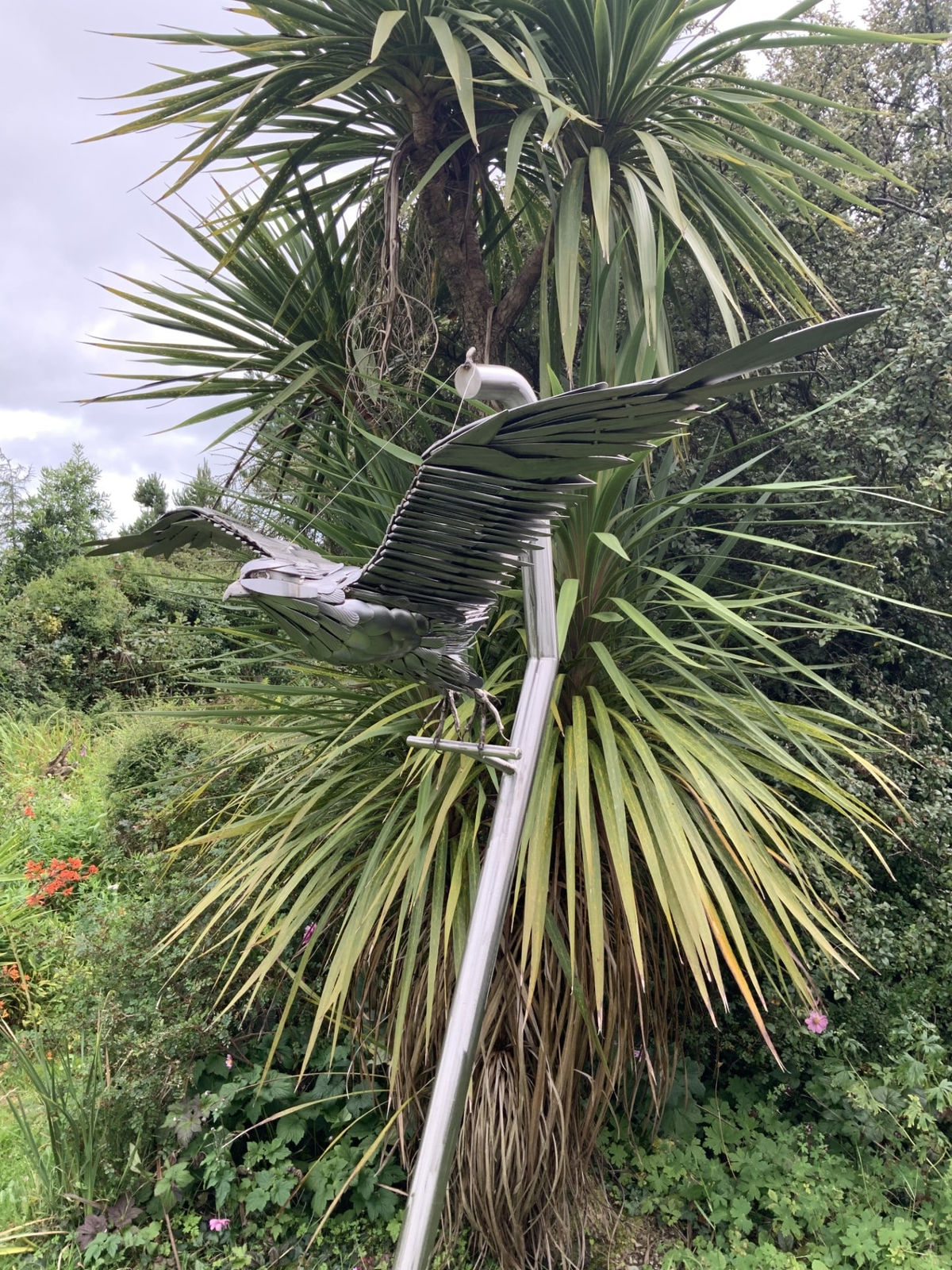 Nigel Connell Bass, Peregrine Falcon Launcing into Flight