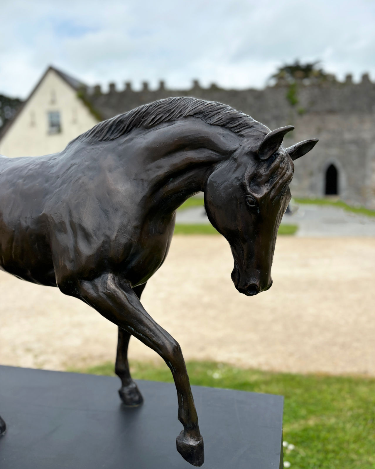 John Fitzgerald, The Stallion