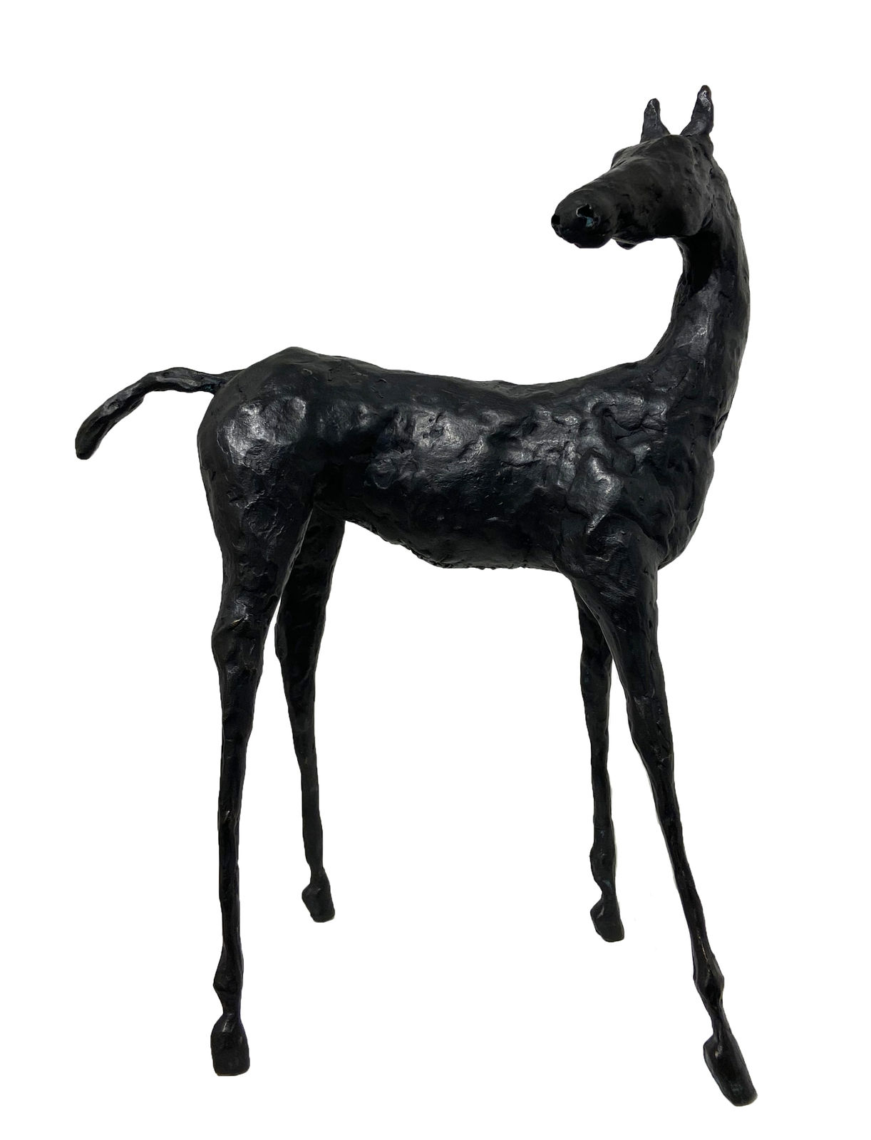 John Fitzgerald, The Seeker