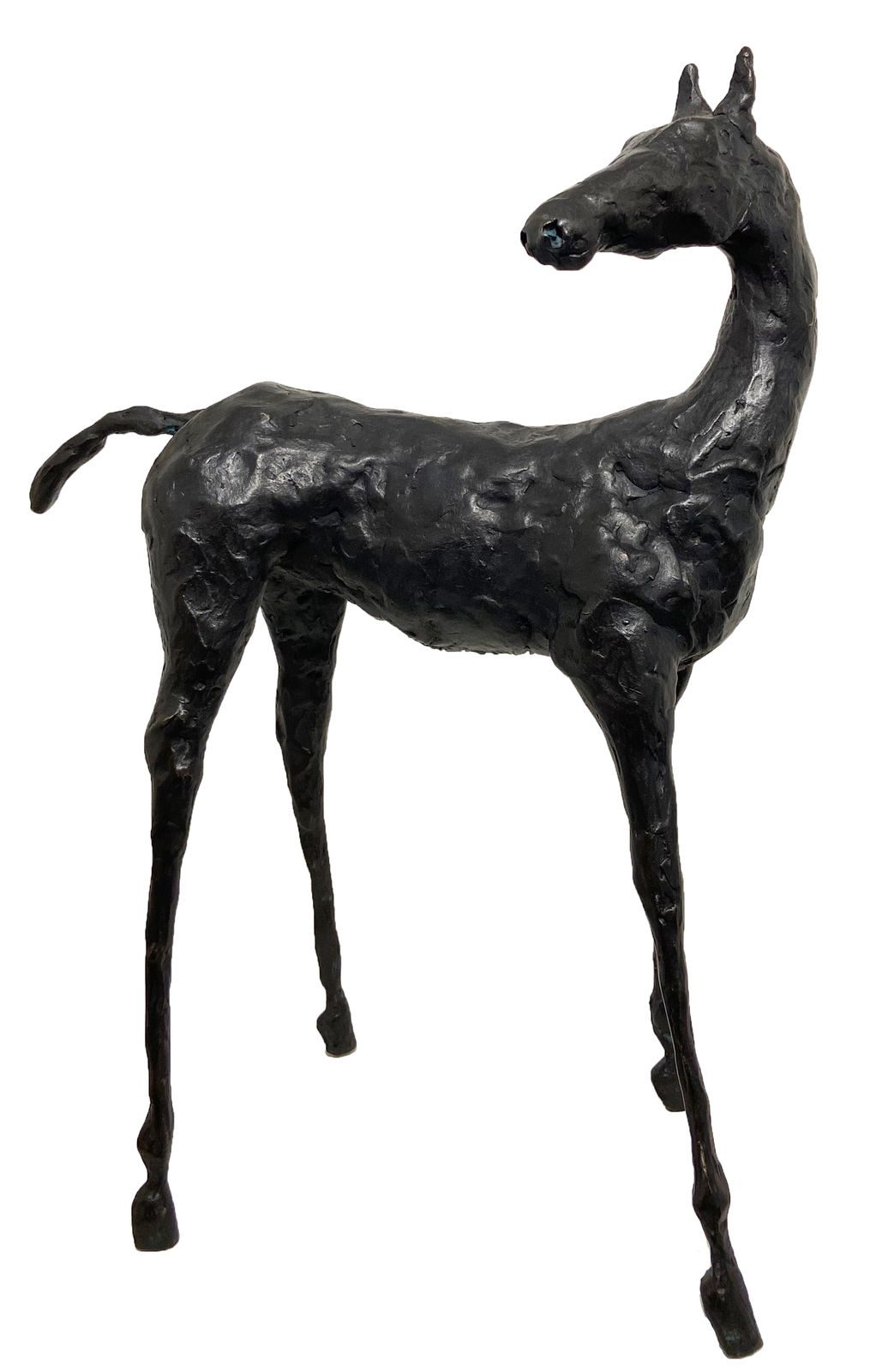 John Fitzgerald, The Seeker