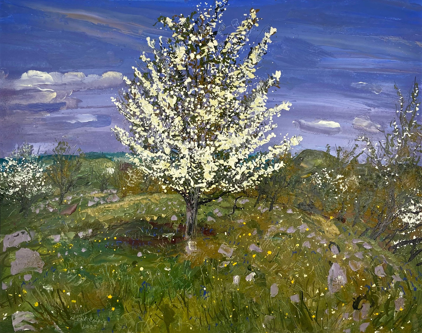 Neal Greig RUA, Whitethorn at Cuilcagh