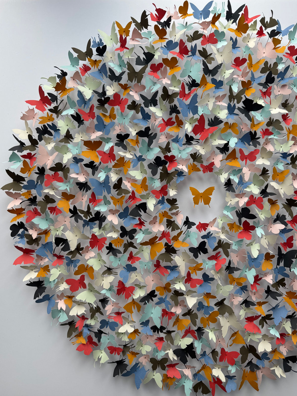 Rebecca J Coles, Colour Theory V