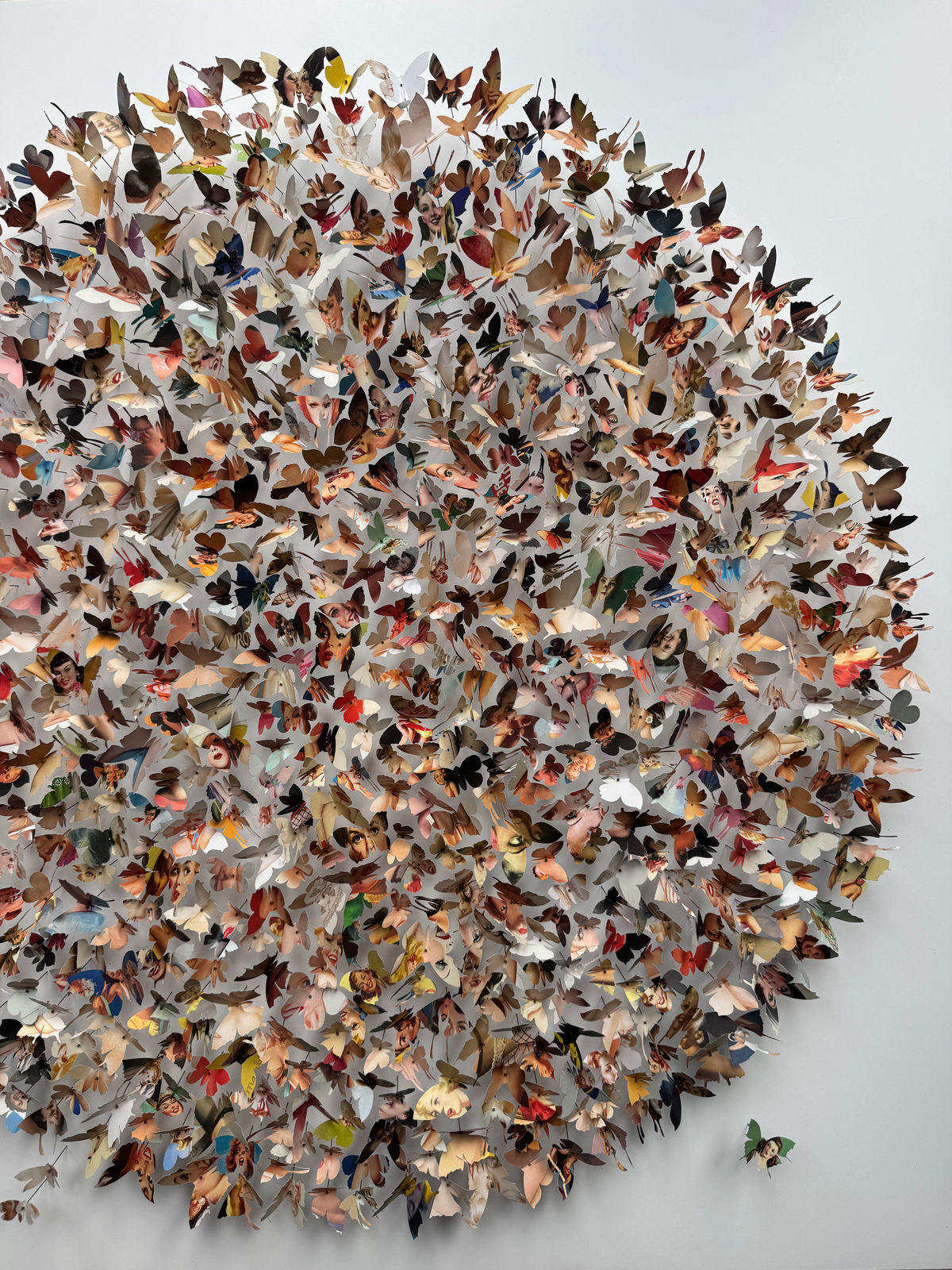 Rebecca J Coles, Art of Pin Up III