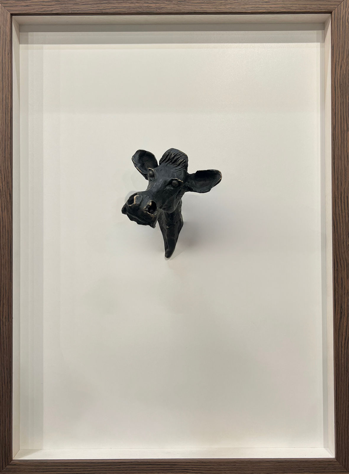 John Fitzgerald, Cowtastic